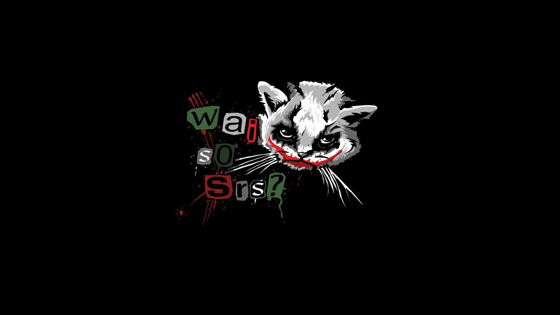 1920x1080 the joker kittens why so serious 1920x1080 wallpaper High