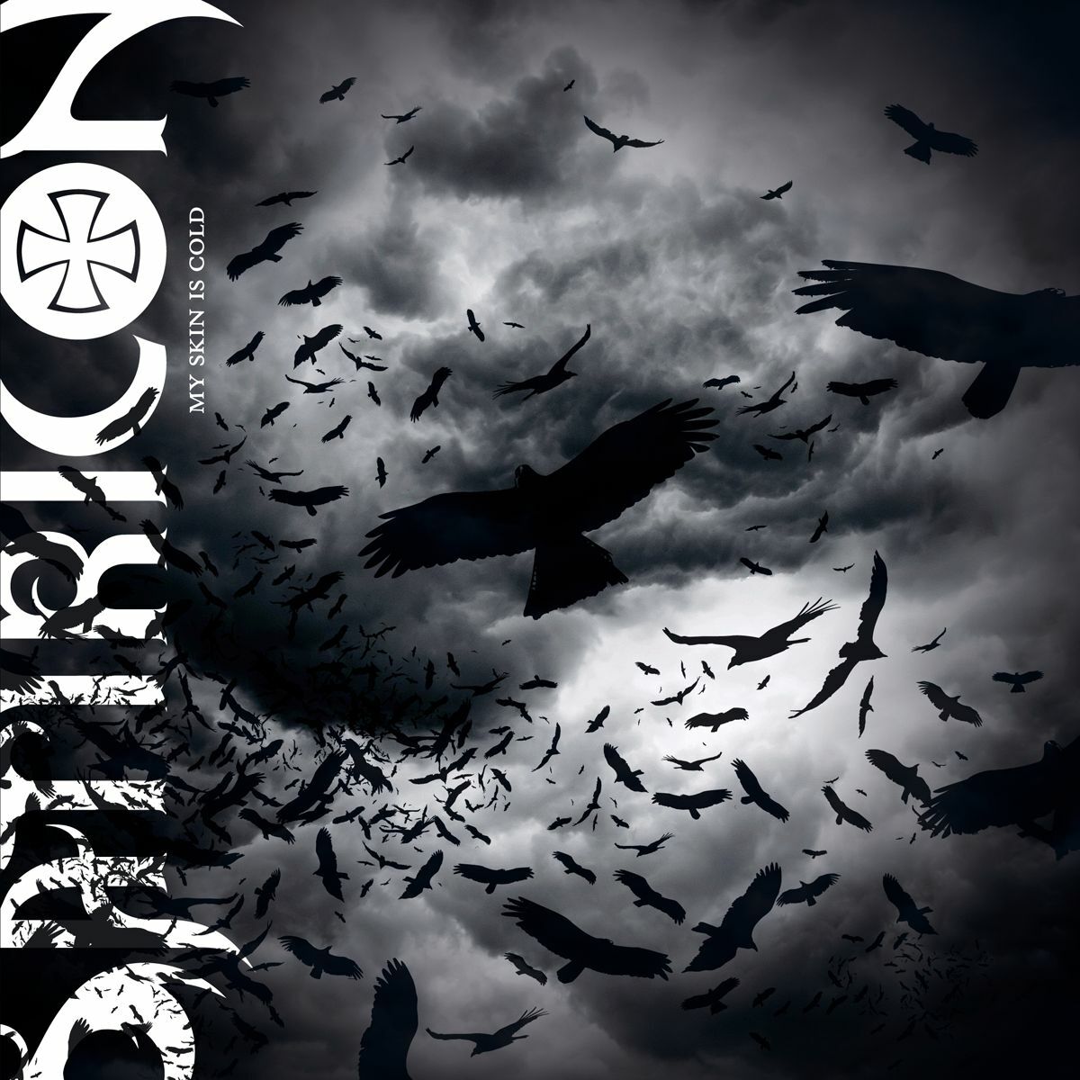 1200x1200 My Skin Is Cold: lyrics and songs