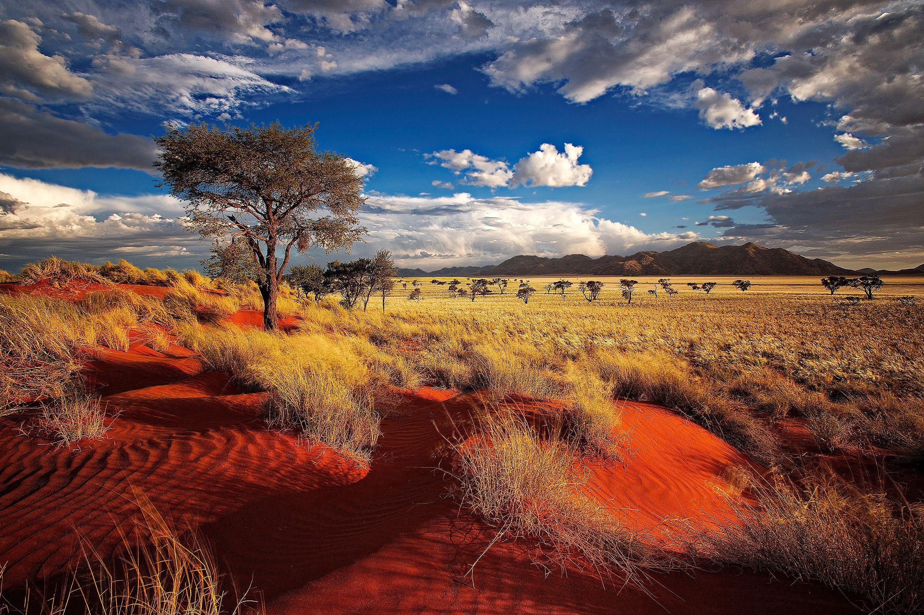 Namibia Wallpapers Top Free Namibia Backgrounds Wallpaperaccess Images, Photos, Reviews