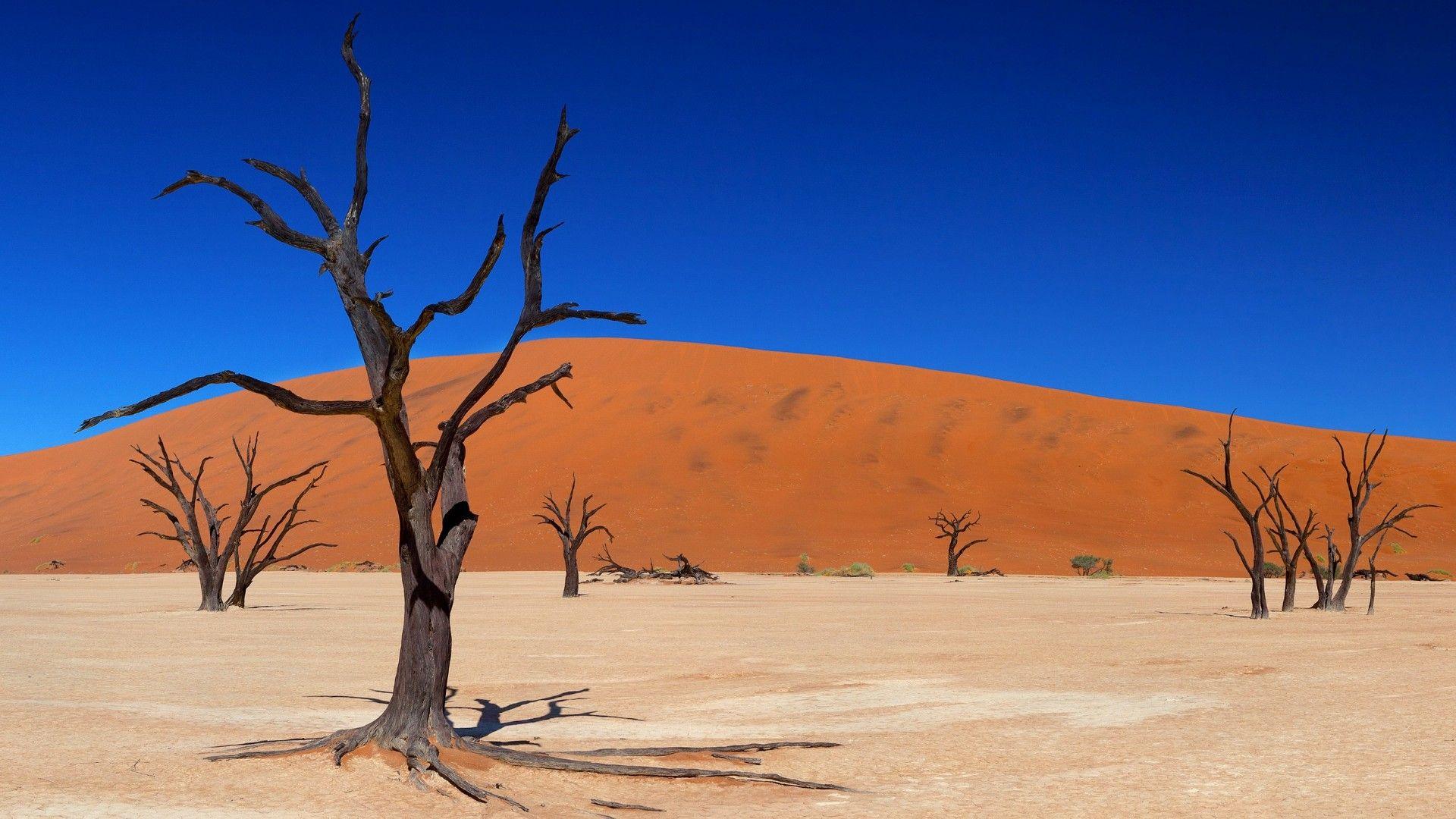 Namibia Wallpapers Top Free Namibia Backgrounds Wallpaperaccess Images, Photos, Reviews