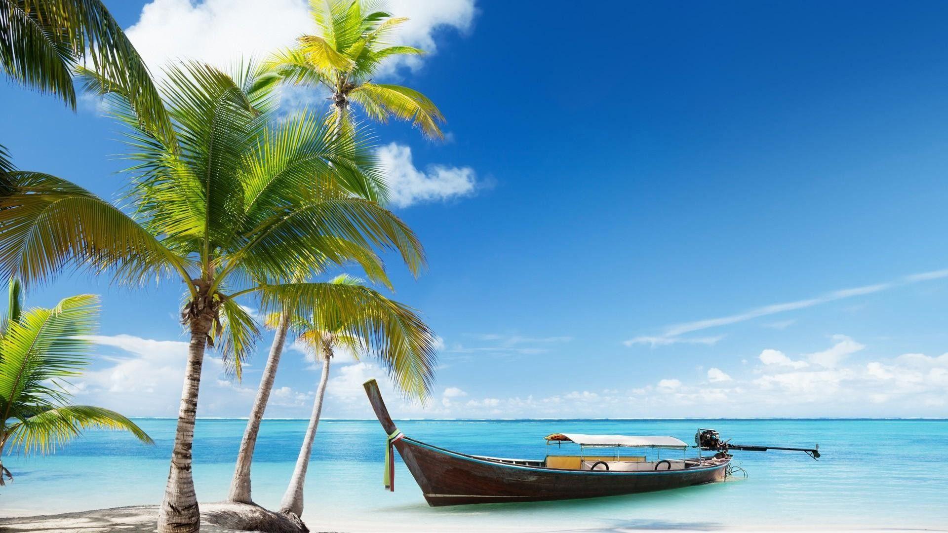 1920x1080 Beach Palm Trees Wallpaper