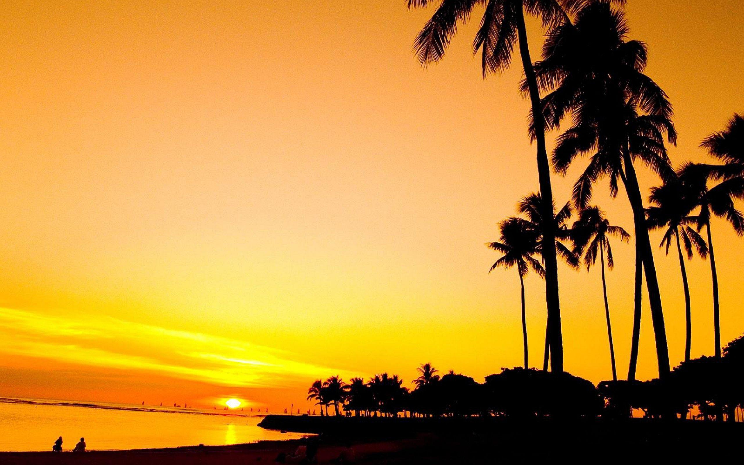 2560x1600 Sunset Palm Beach wallpaperx1600