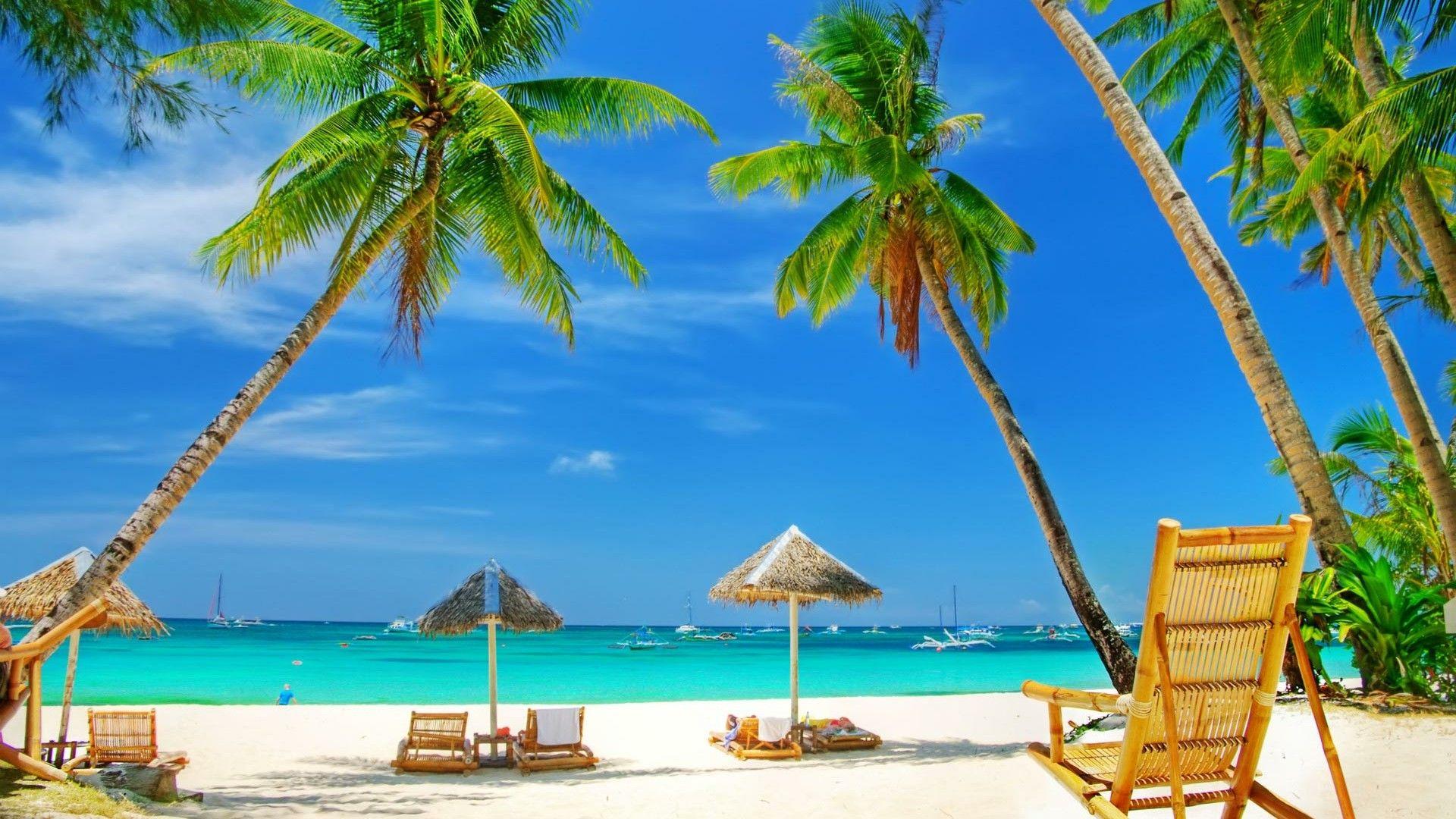 1920x1080 Palm Beach Wallpaper 428.78 Kb