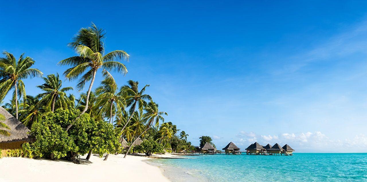 1280x635 Desktop Wallpaper beaches Sea Nature Sky Palms Tropics