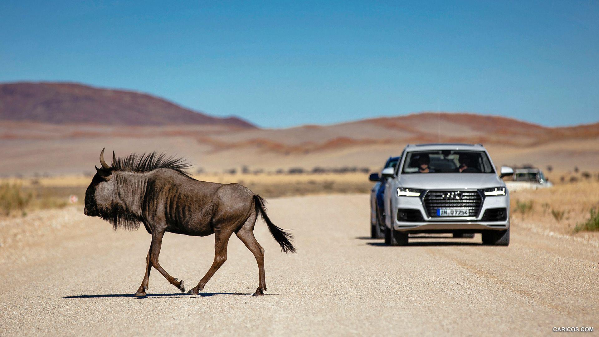 1920x1080 Audi Q7 (Tofana White) in Namibia. HD