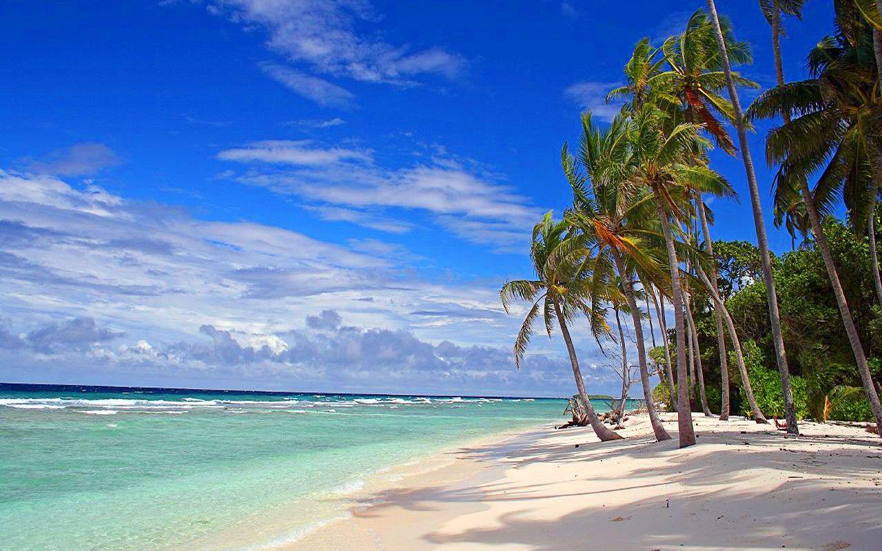 1280x800 Palm Beach HD Wallpaper Download Free Palm On Beach HD
