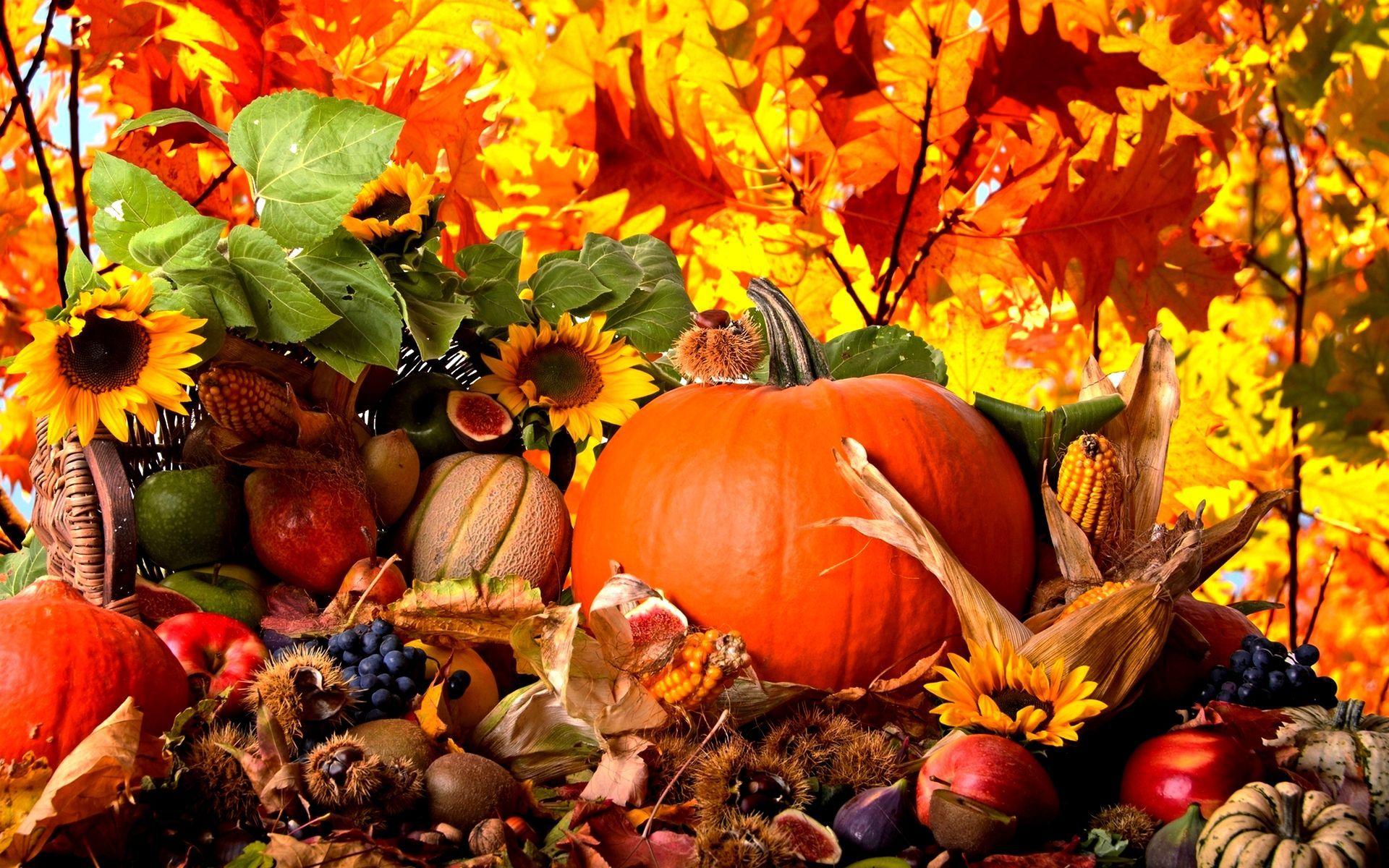 For My Desktop Thanksgiving Wallpapers Top Free For My Desktop Thanksgiving Backgrounds Wallpaperaccess