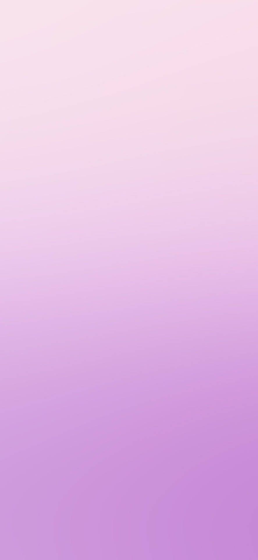 887x1920 Light Purple iPhone HD Wallpaper