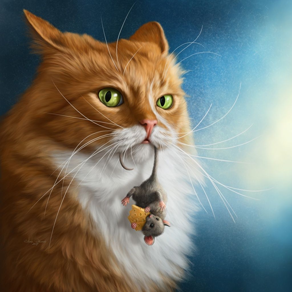1024x1024 Photo cat Mice Cheese animal Staring