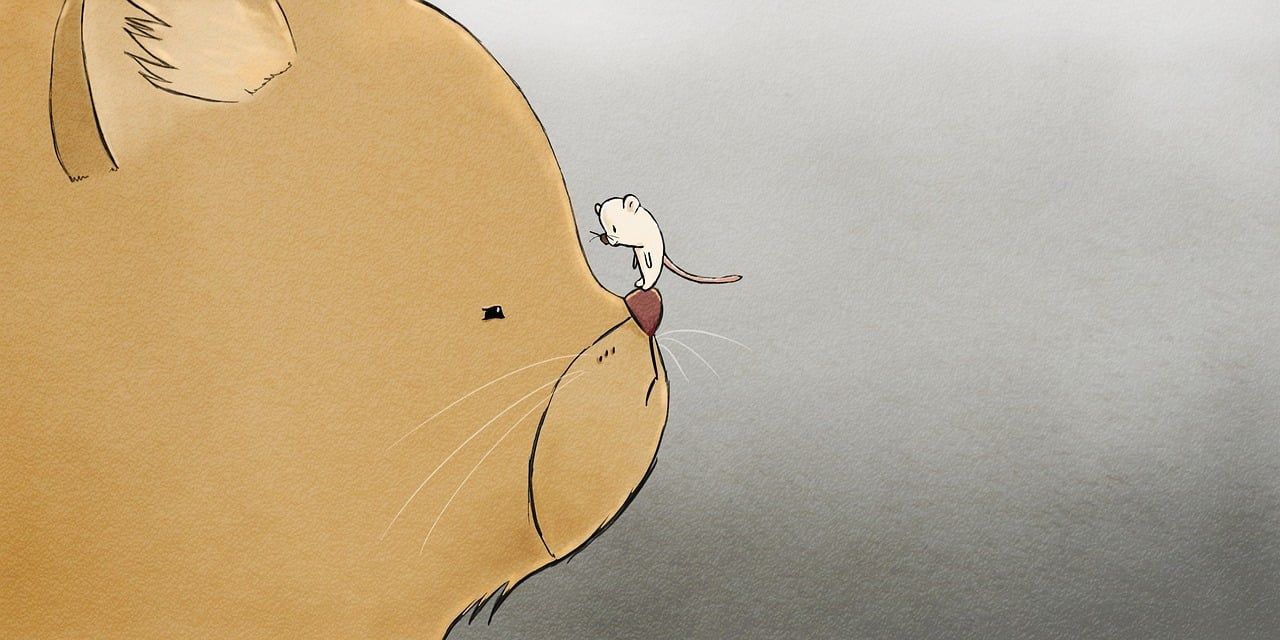 1280x640 Free Cat Mouse & Mouse Image
