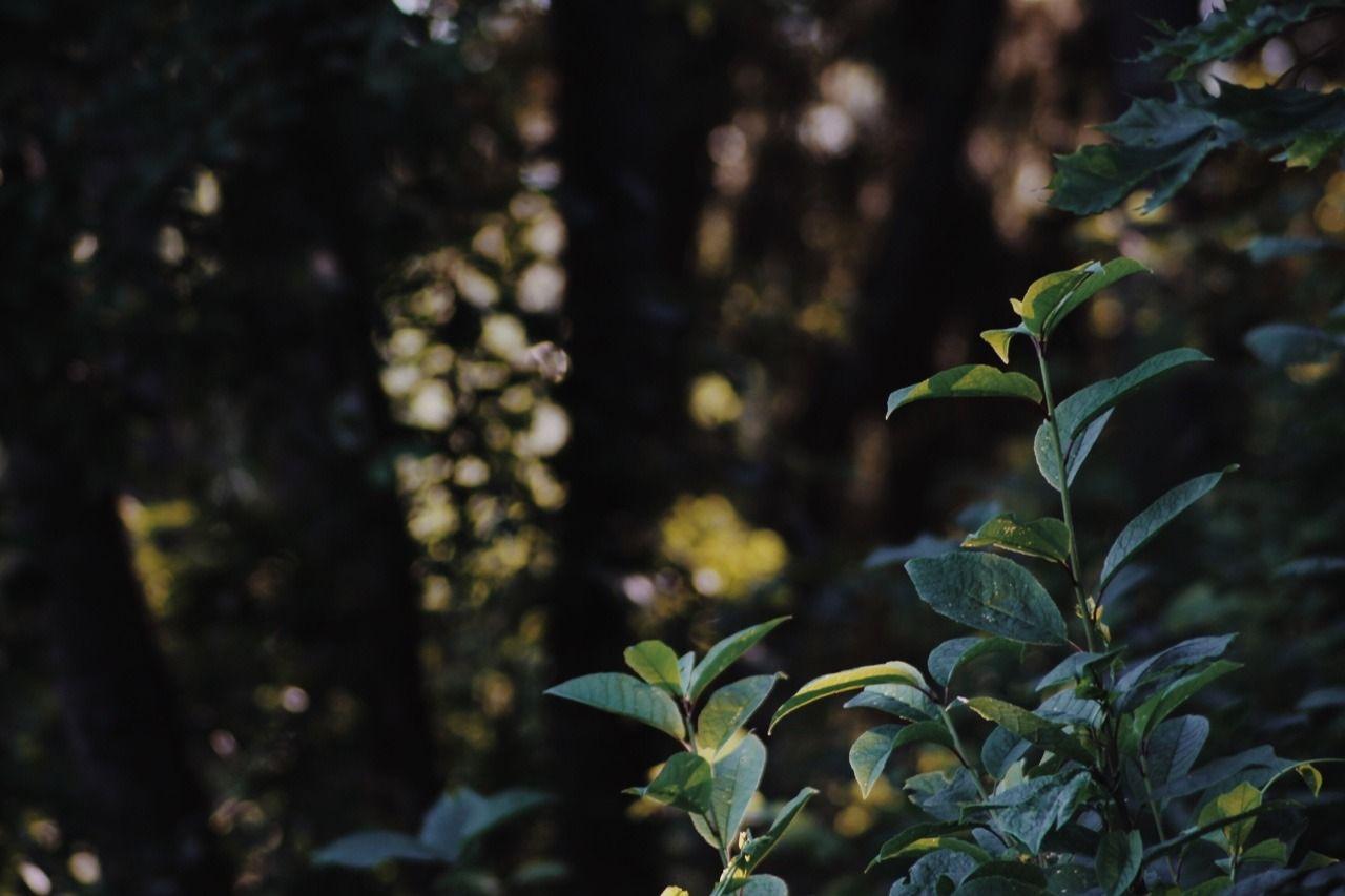 1280x853 vscocam