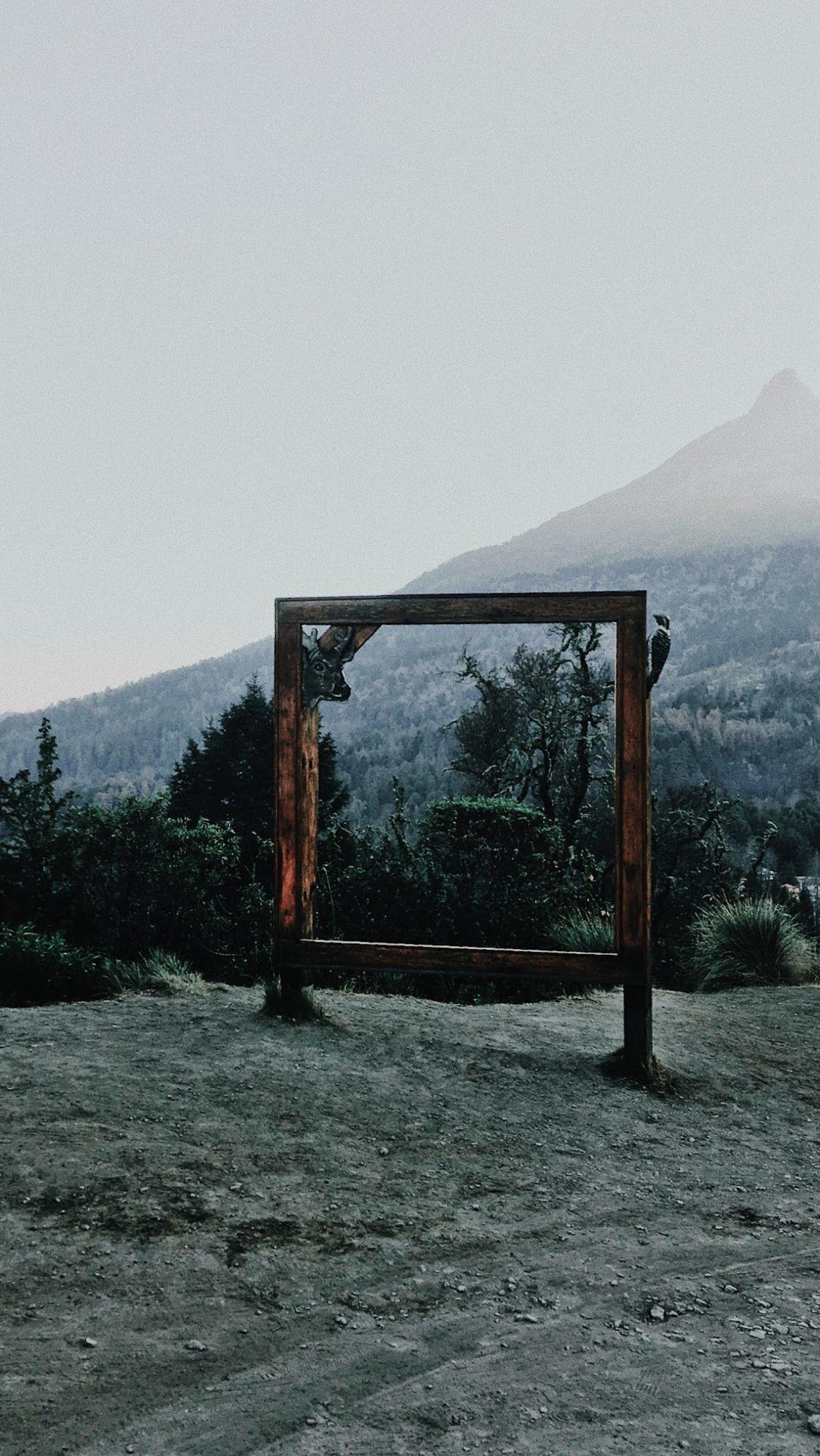 1136x2016 VSCO Alvrz