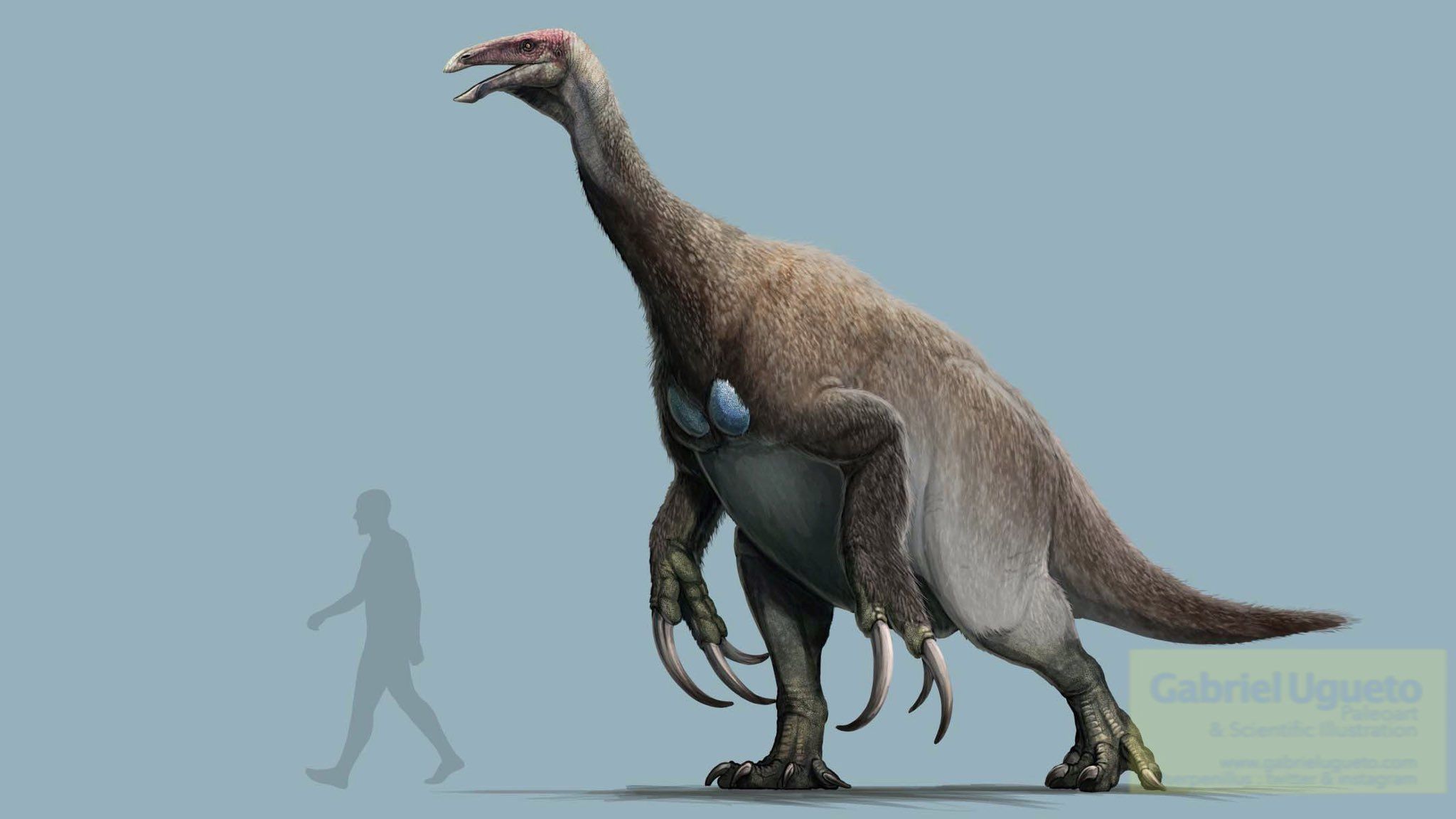 2048x1152 Therizinosaurus by Gabriel Ugueto : r