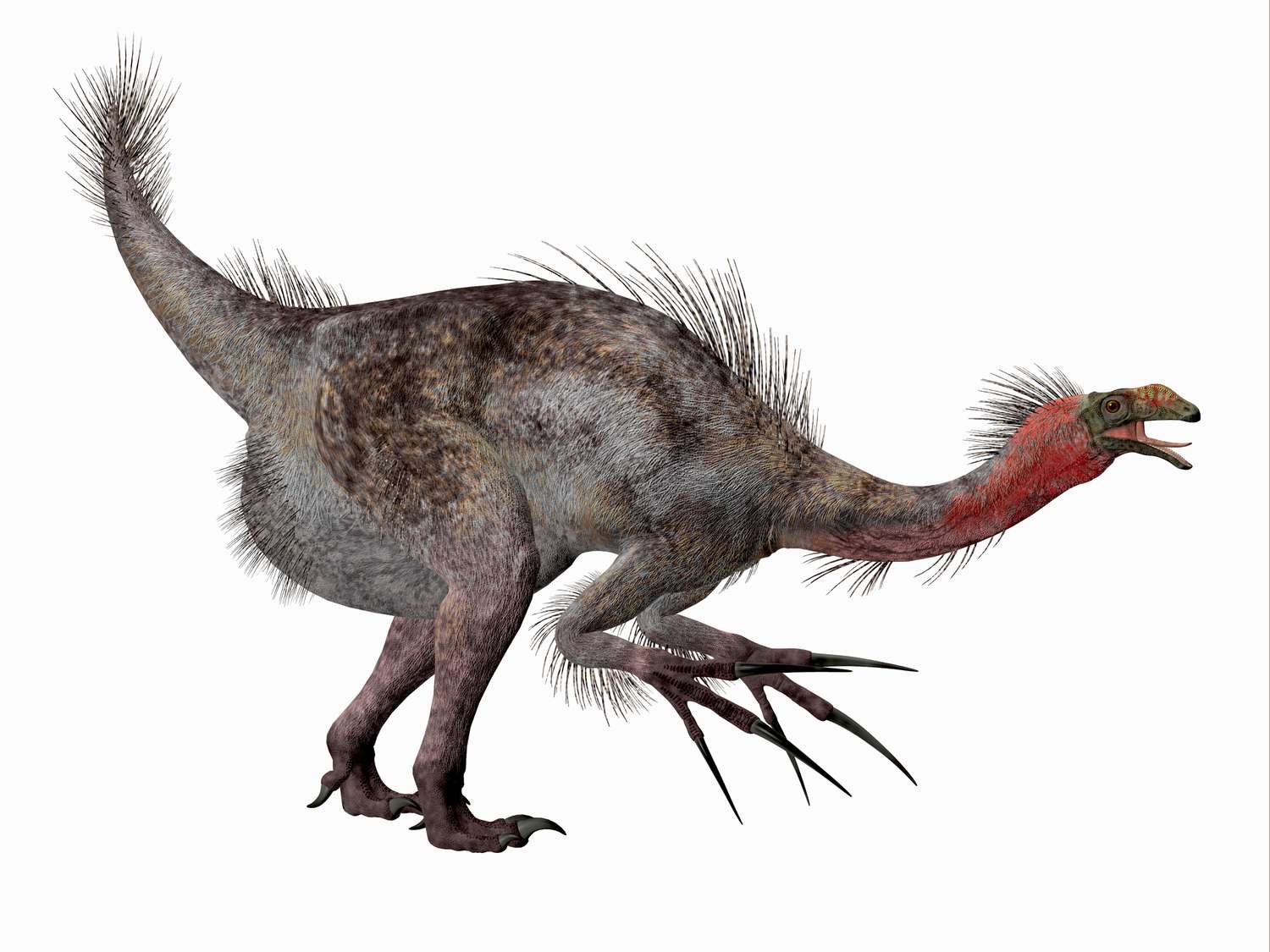 1500x1125 Facts About Therizinosaurus
