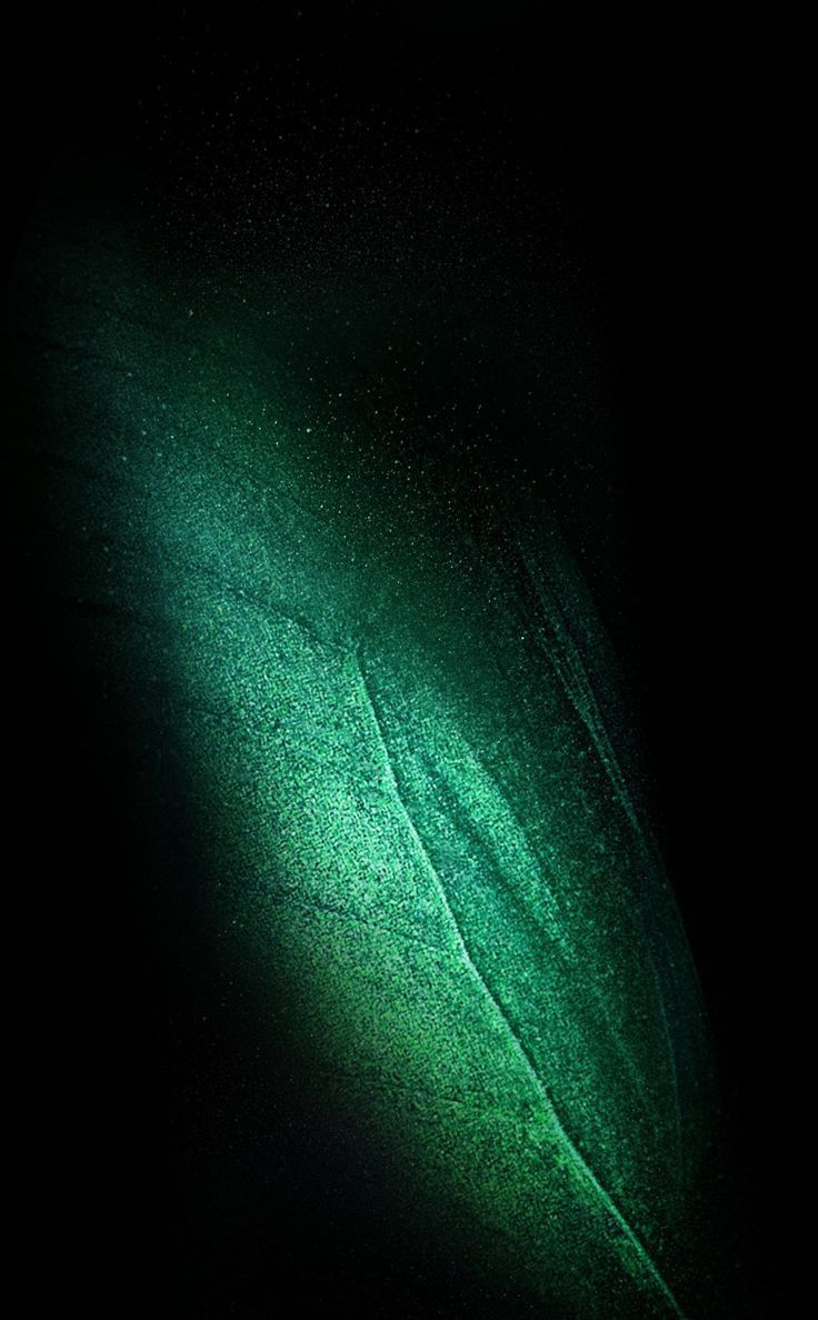 736x1188 Samsung Galaxy Fold, minimal, leaf