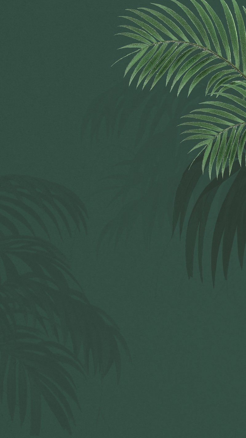 800x1422 Green Wallpaper Phone Wallpaper
