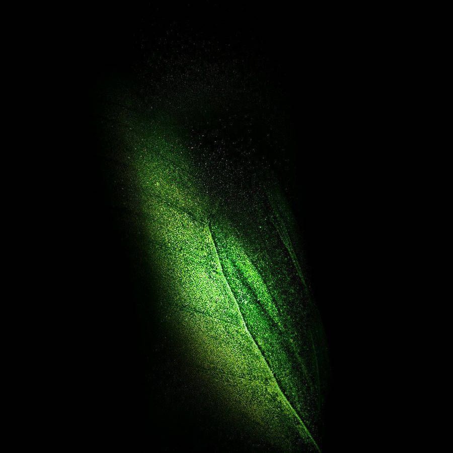 900x900 Download free Amoled Sparkling Green