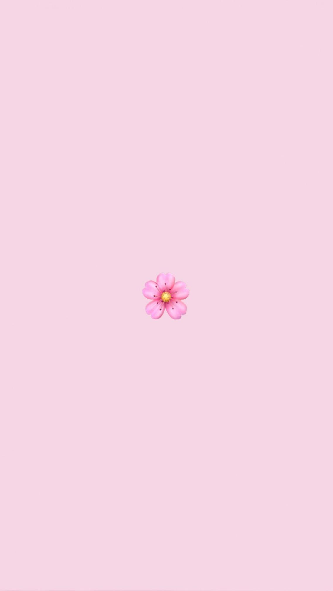 Pink Vsco Wallpapers Top Free Pink Vsco Backgrounds