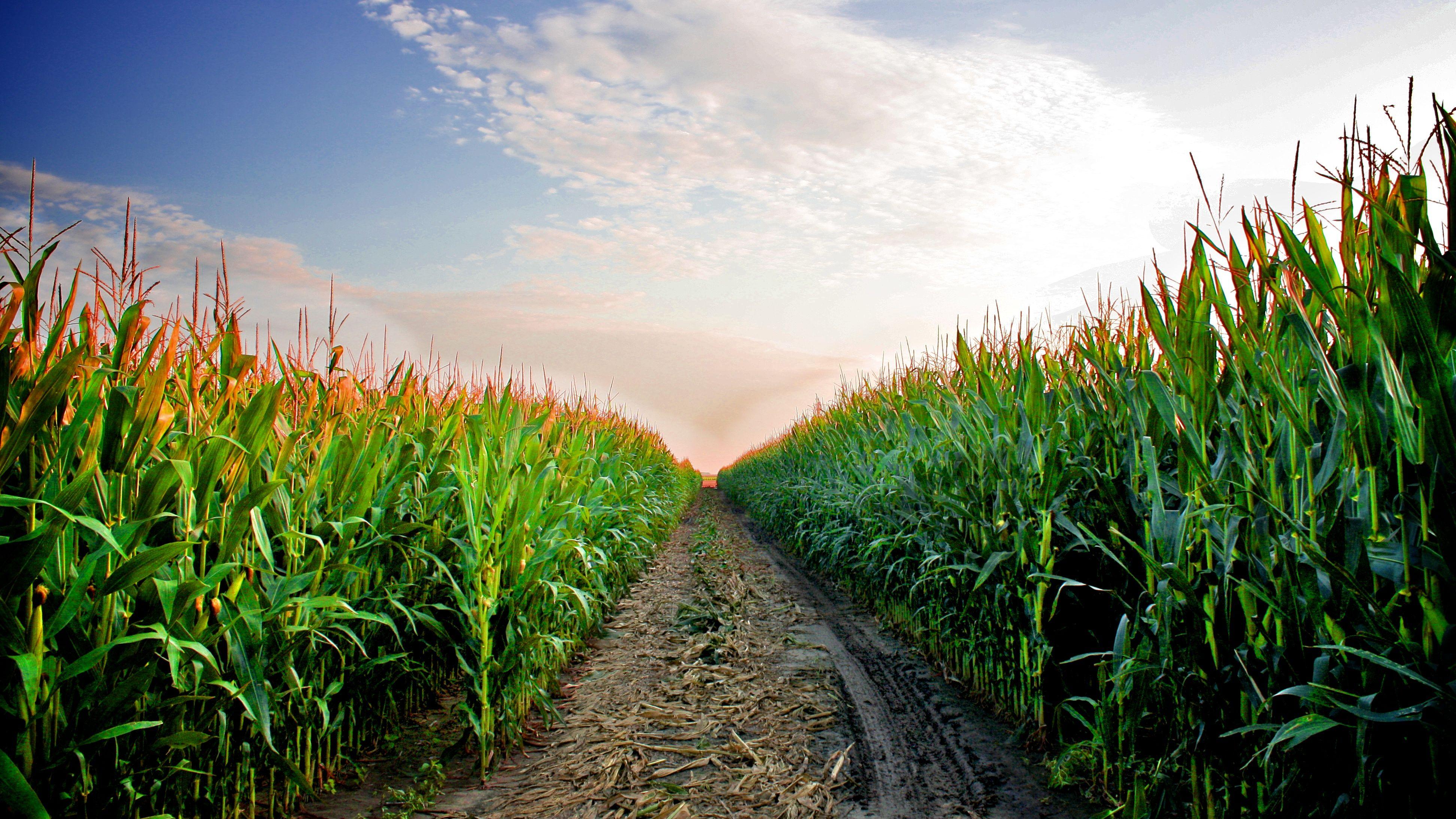 Digital Agriculture Wallpapers Top Free Digital Agriculture 