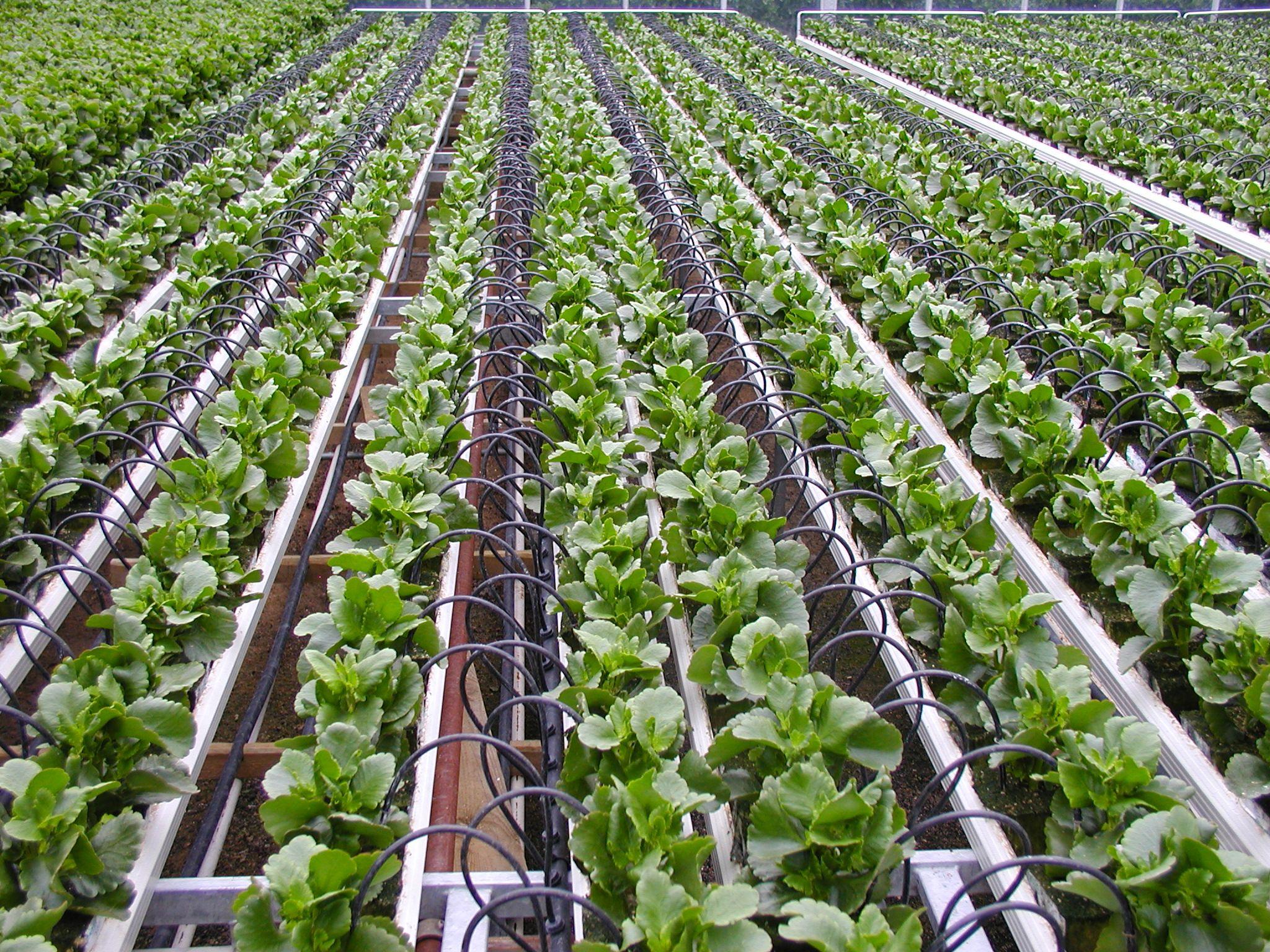 2048x1536 Ecomnewsmed is Agriculture changing through digital Innovation
