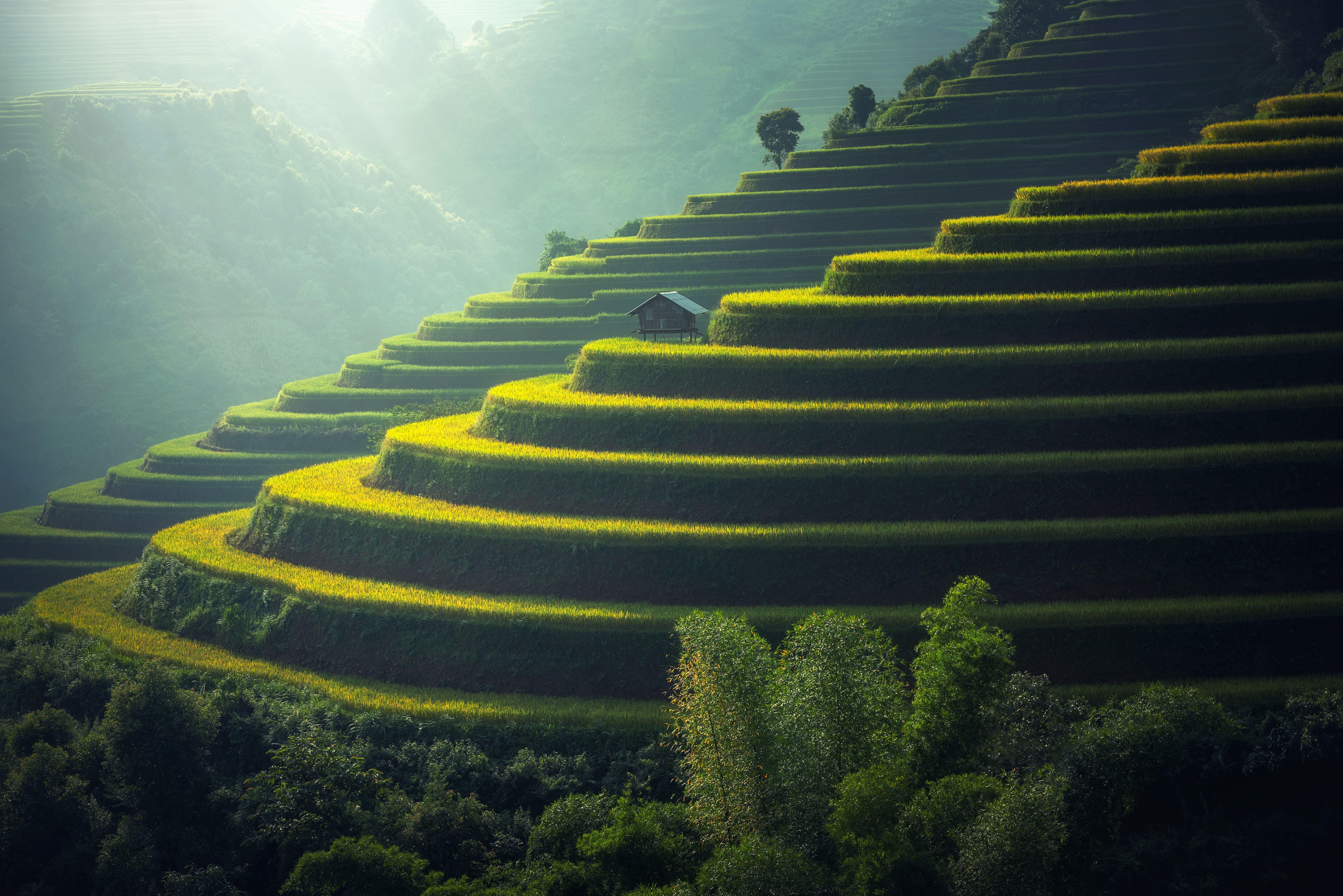7301x4873 Wallpaper Farm, Terrace farming, Agriculture, 4K, 8K, Nature