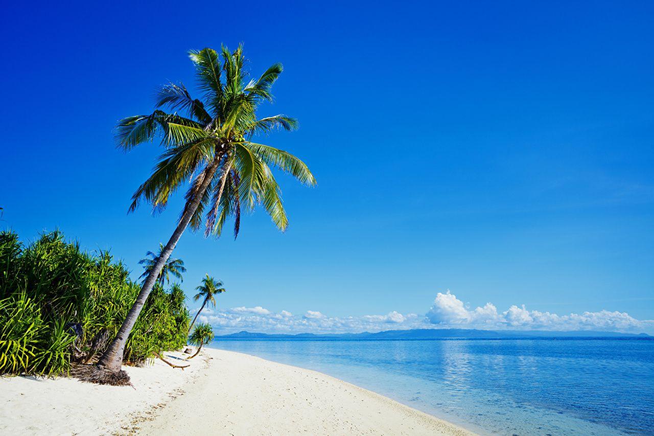 1280x853 Wallpaper Philippines beaches Sea Nature Palms Tropics Coast