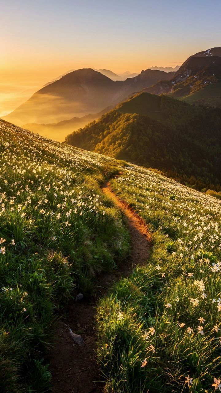 720x1280 Landscape, road, mountains, sunrise