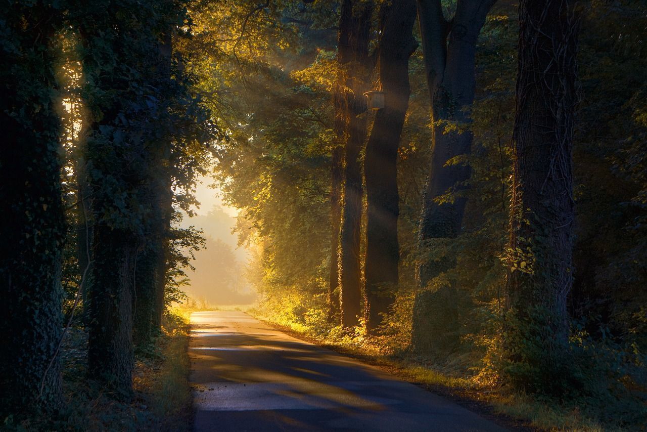 1280x854 Green Sunrise & Sunrise Image
