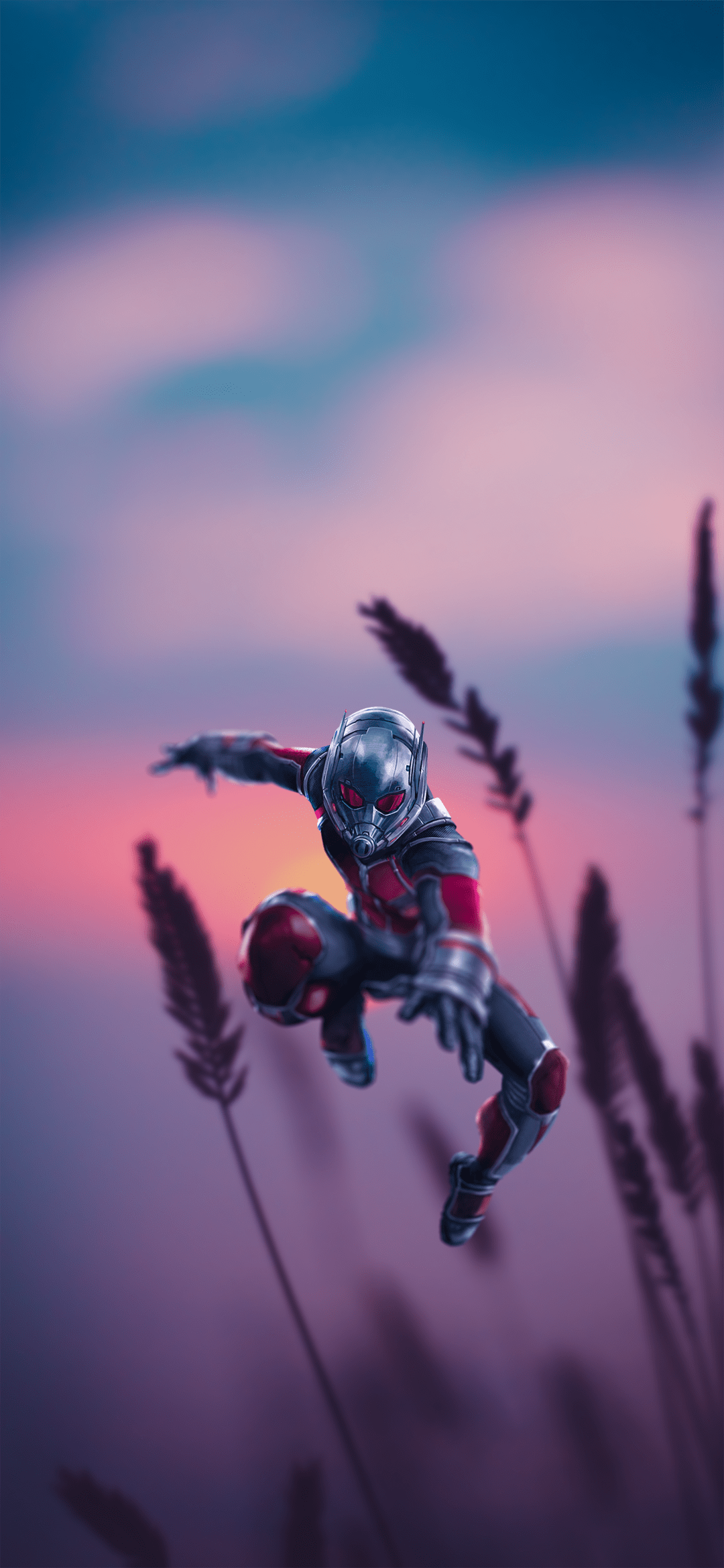 1080x2340 Download Scott Lang Movie Ant Man Ant
