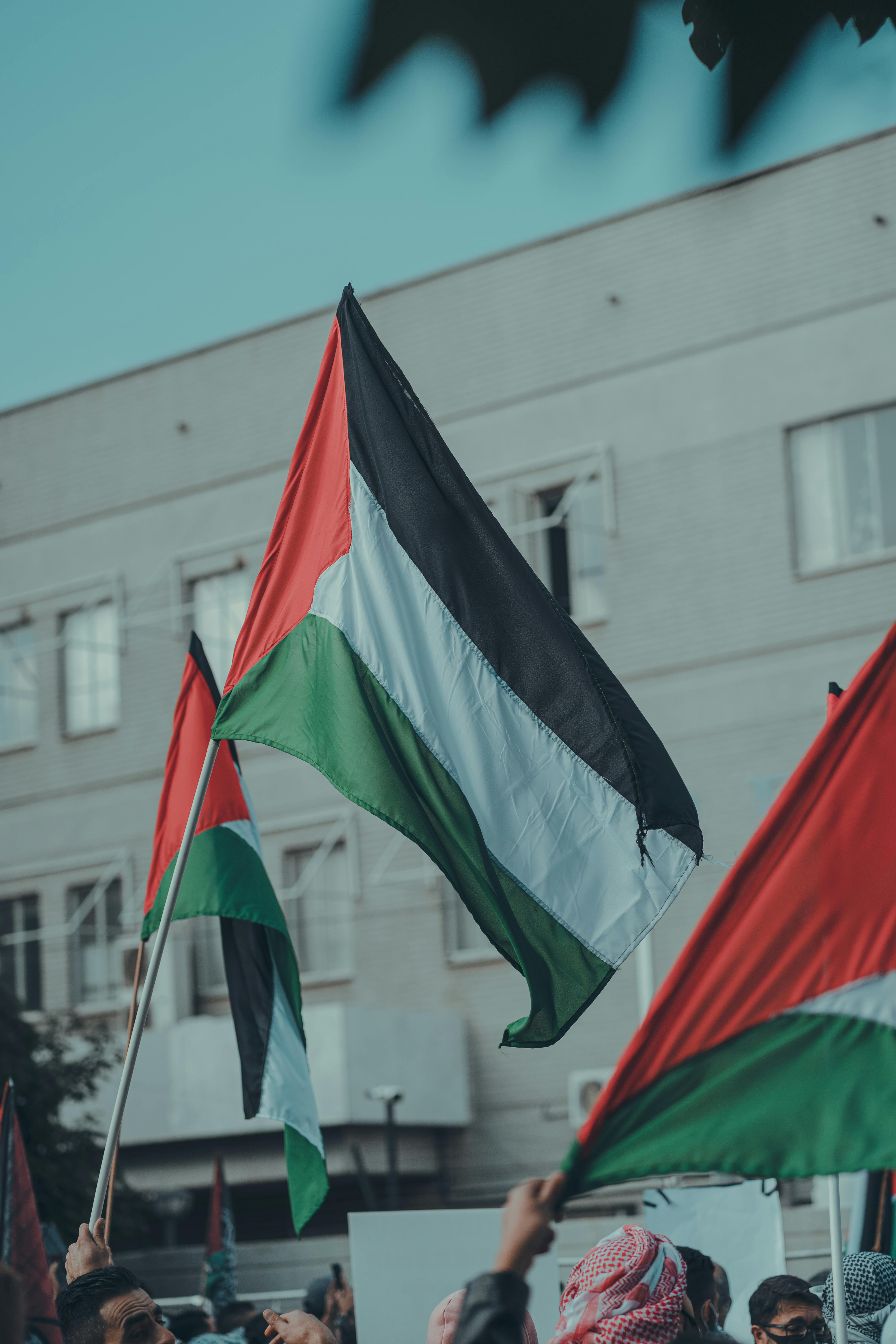 4000x6000 Close Up Shot Of Palestinian Flags · Free