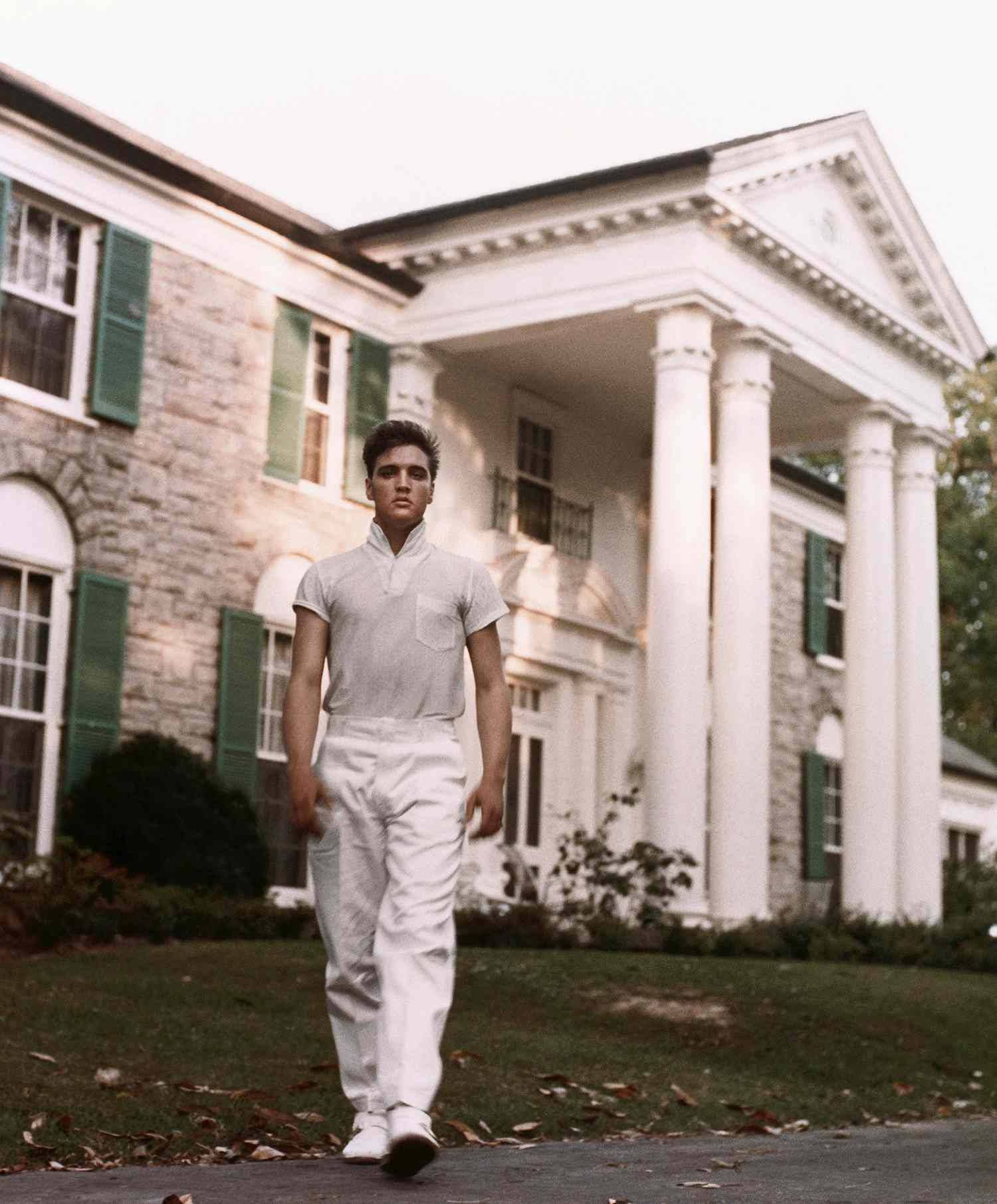1500x1811 Graceland Wallpaper