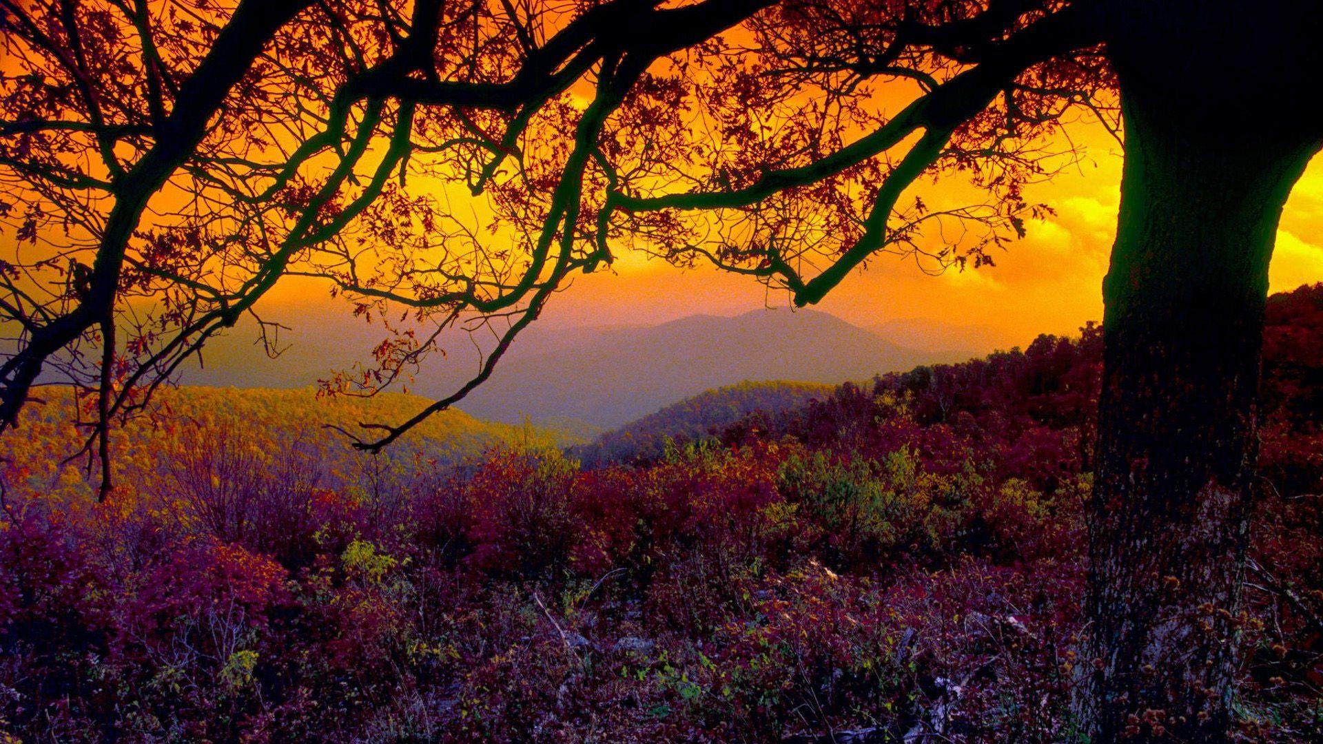 1920x1080 Shenandoah National Park Wallpaper