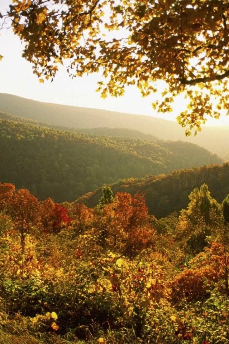 735x1102 Shenandoah National Park Wallpaper
