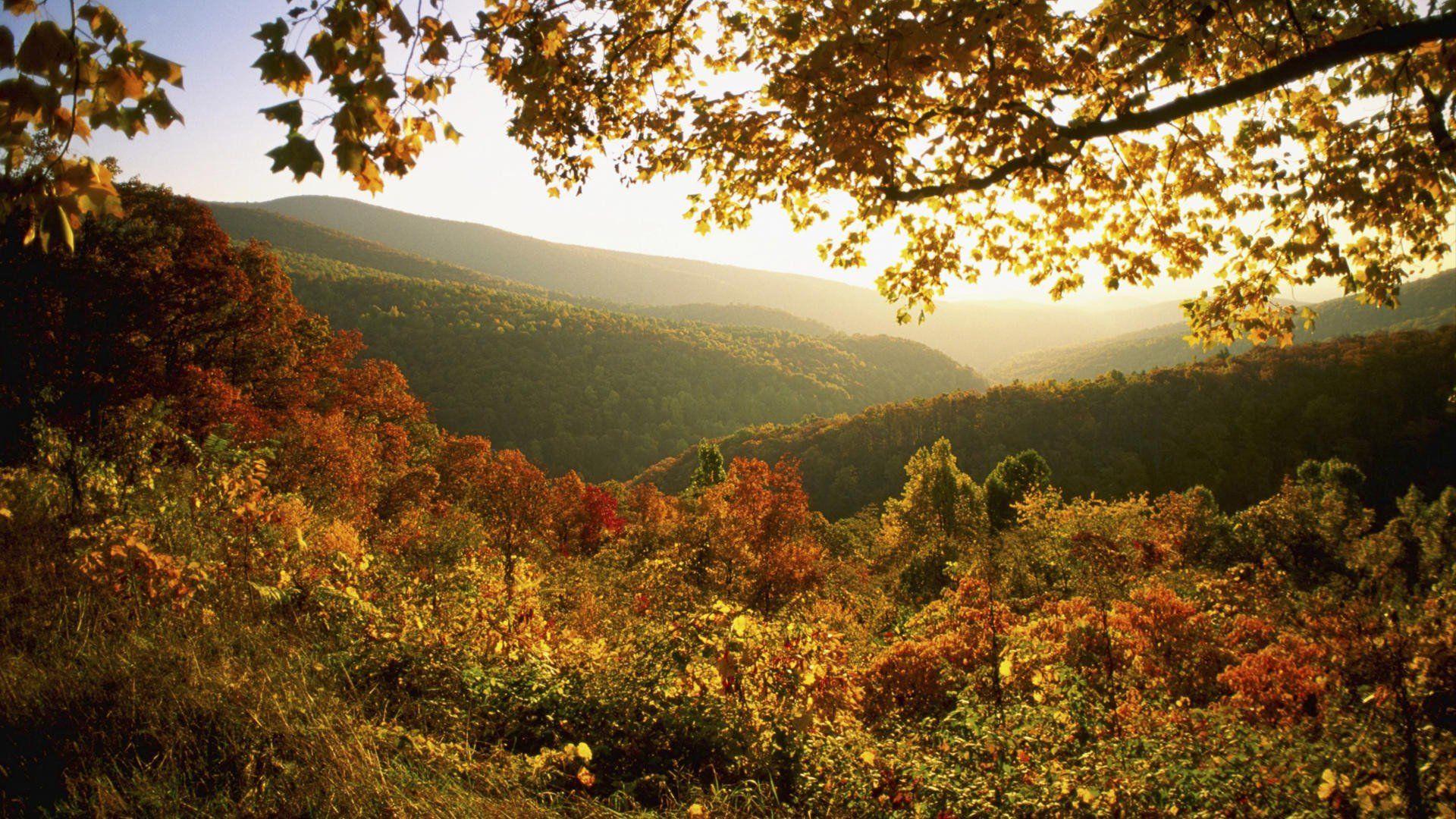 1920x1080 Shenandoah National Park Wallpaper