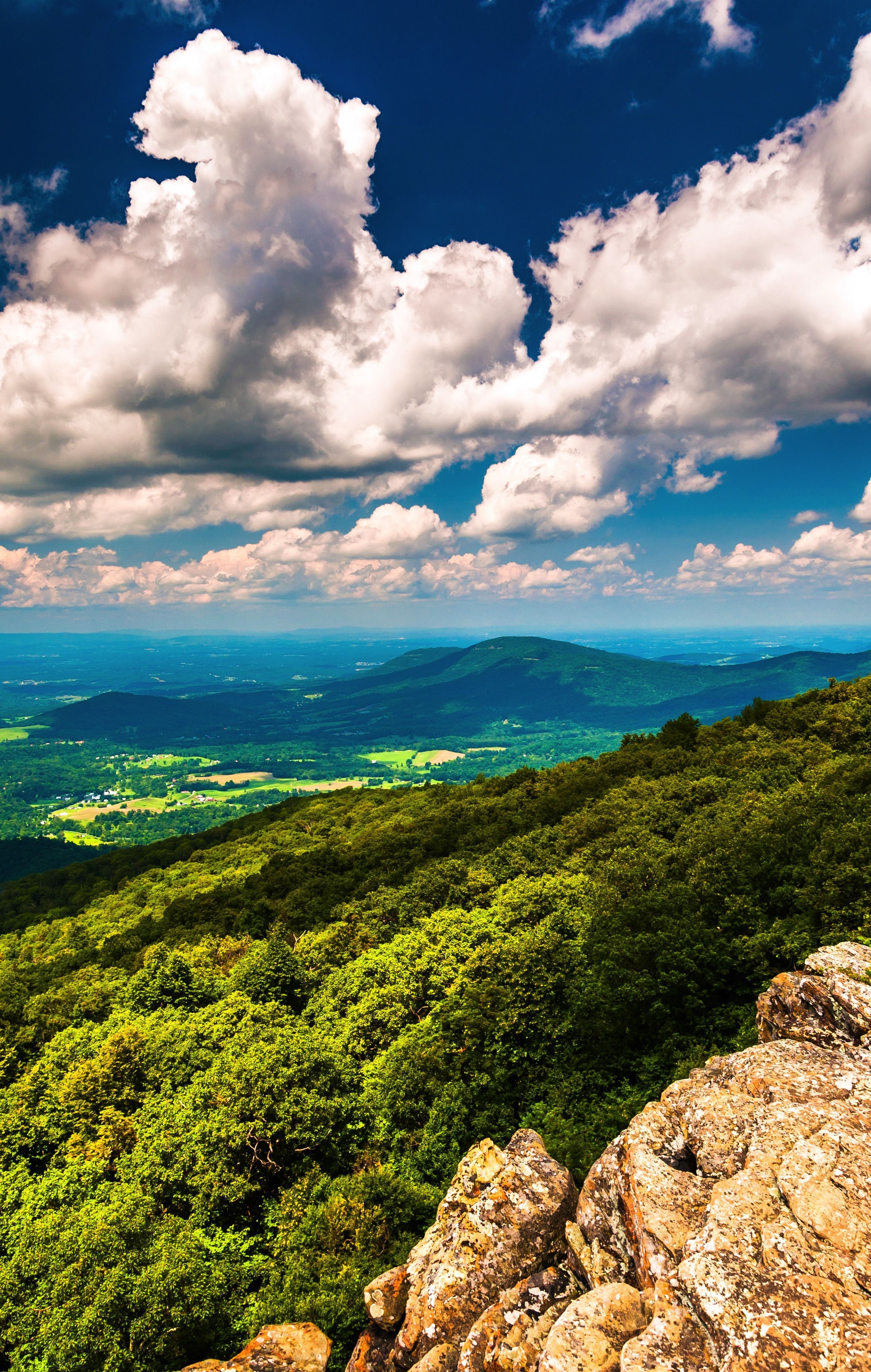 2500x3937 Shenandoah National Park. Beautiful