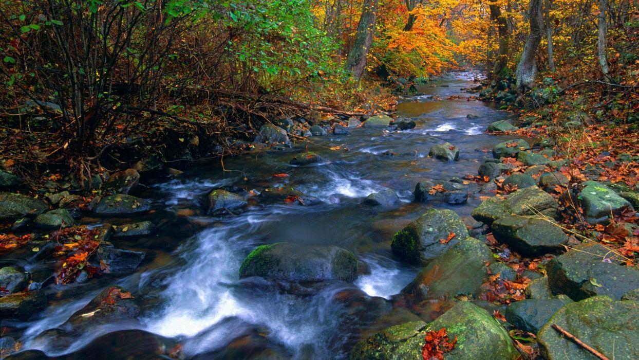 1244x700 Shenandoah National Park Wallpaper
