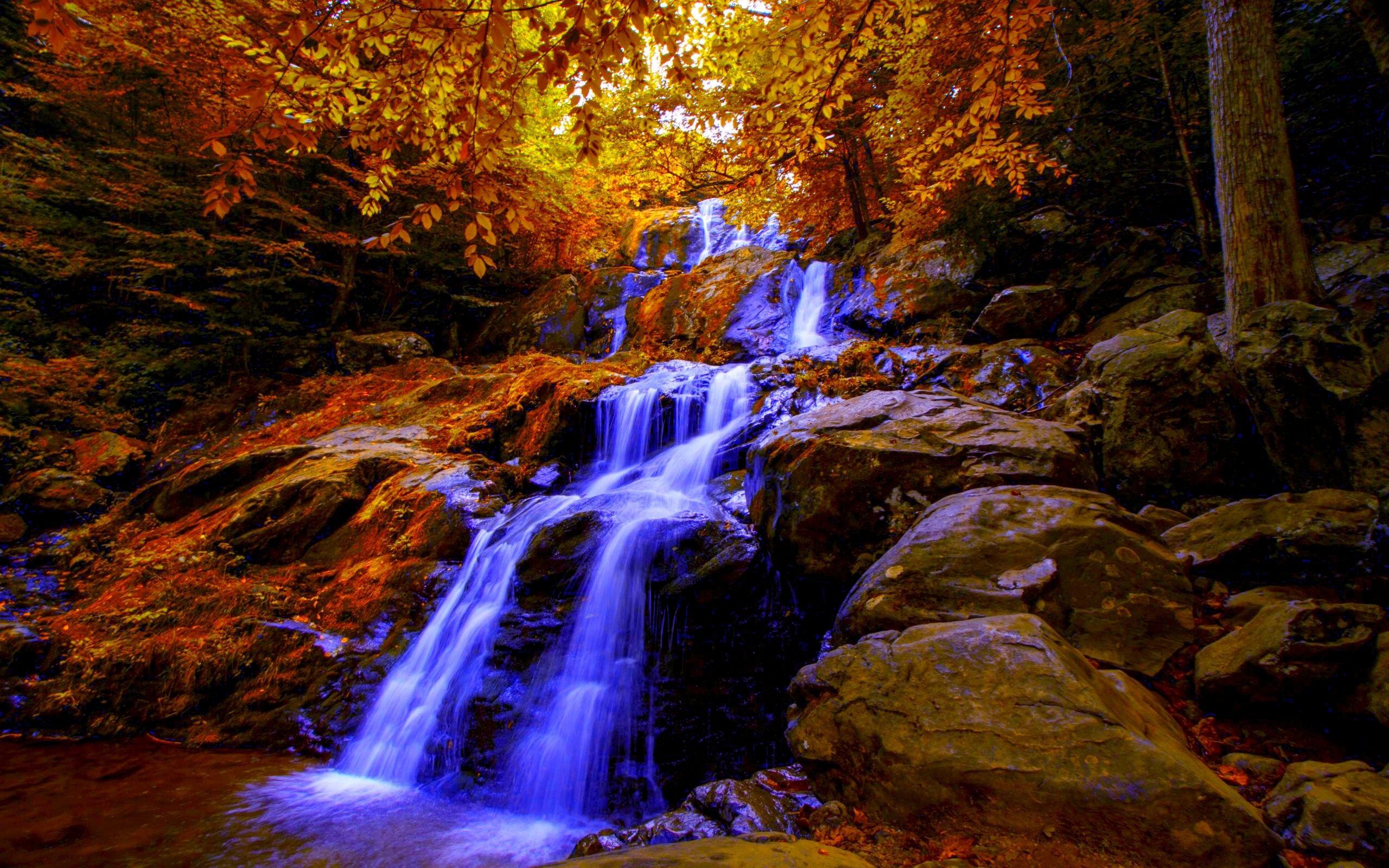 2560x1600 Shenandoah National Park Wallpaper