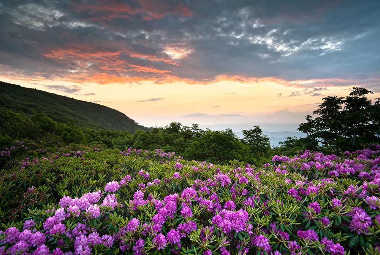 1280x860 image USA Shenandoah Virginia Nature