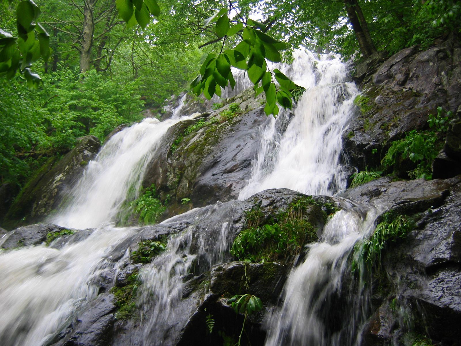 1600x1200 Shenandoah National Park. Virginia
