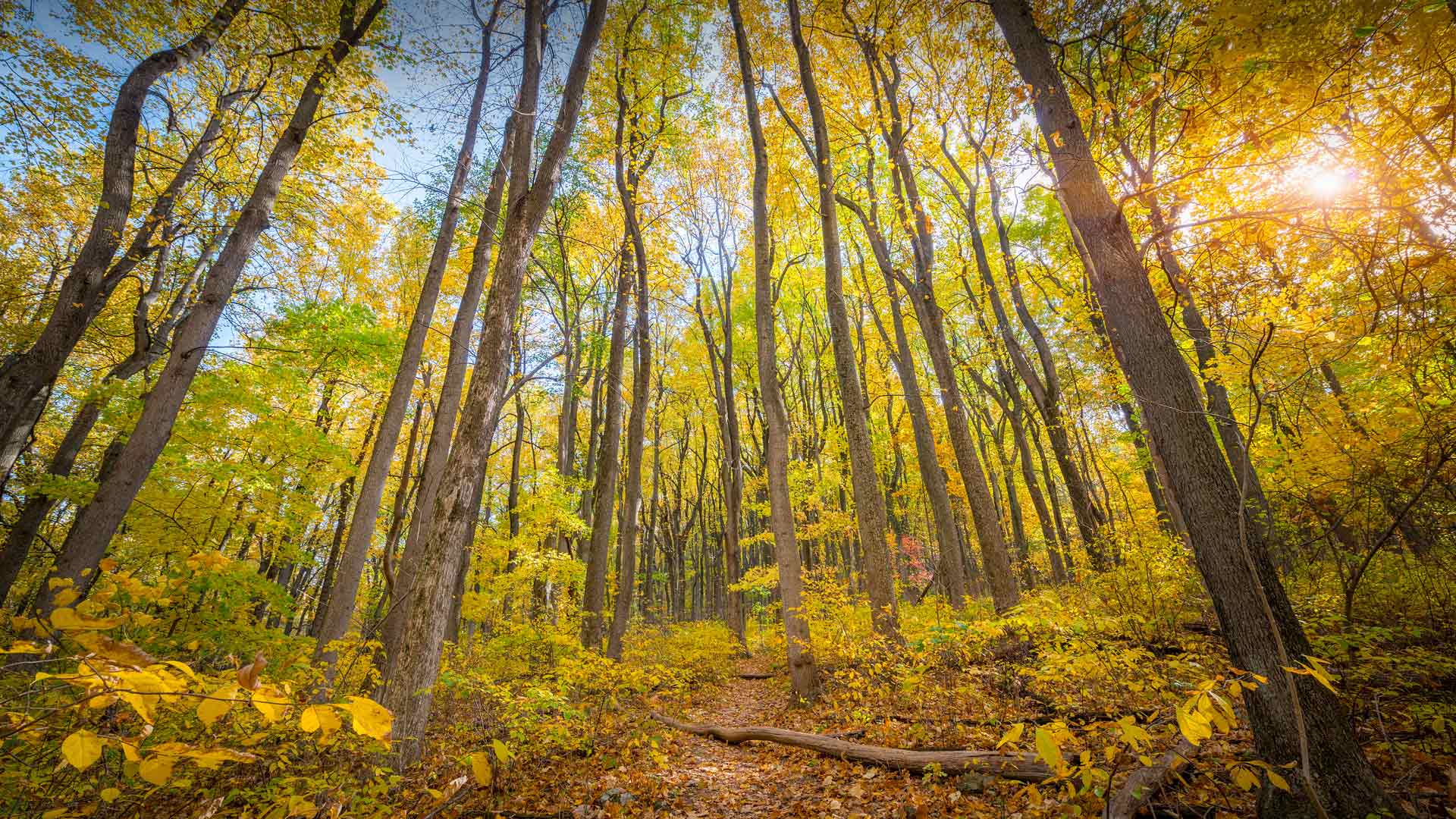 1920x1080 Shenandoah National Park, Virginia, USA