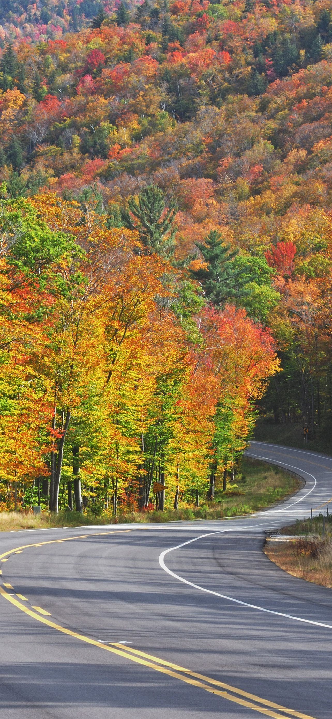 1284x2778 shenandoah national park iPhone
