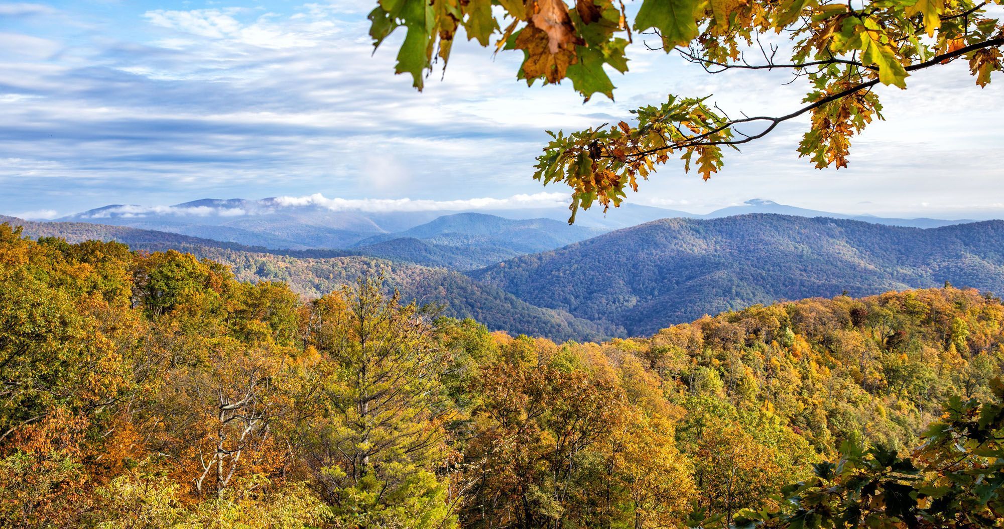 2000x1053 in Shenandoah National Park
