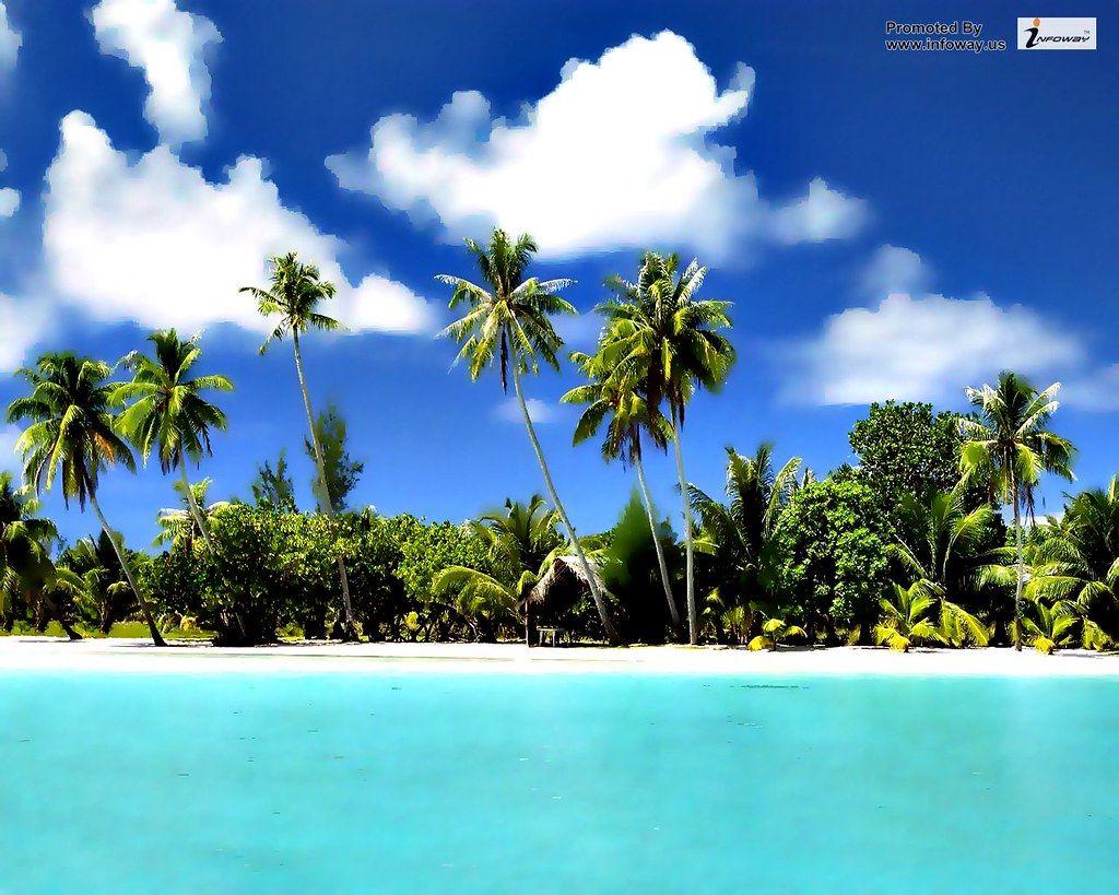 1024x819 Scenery wallpaper tropical nature beach island wallpaper