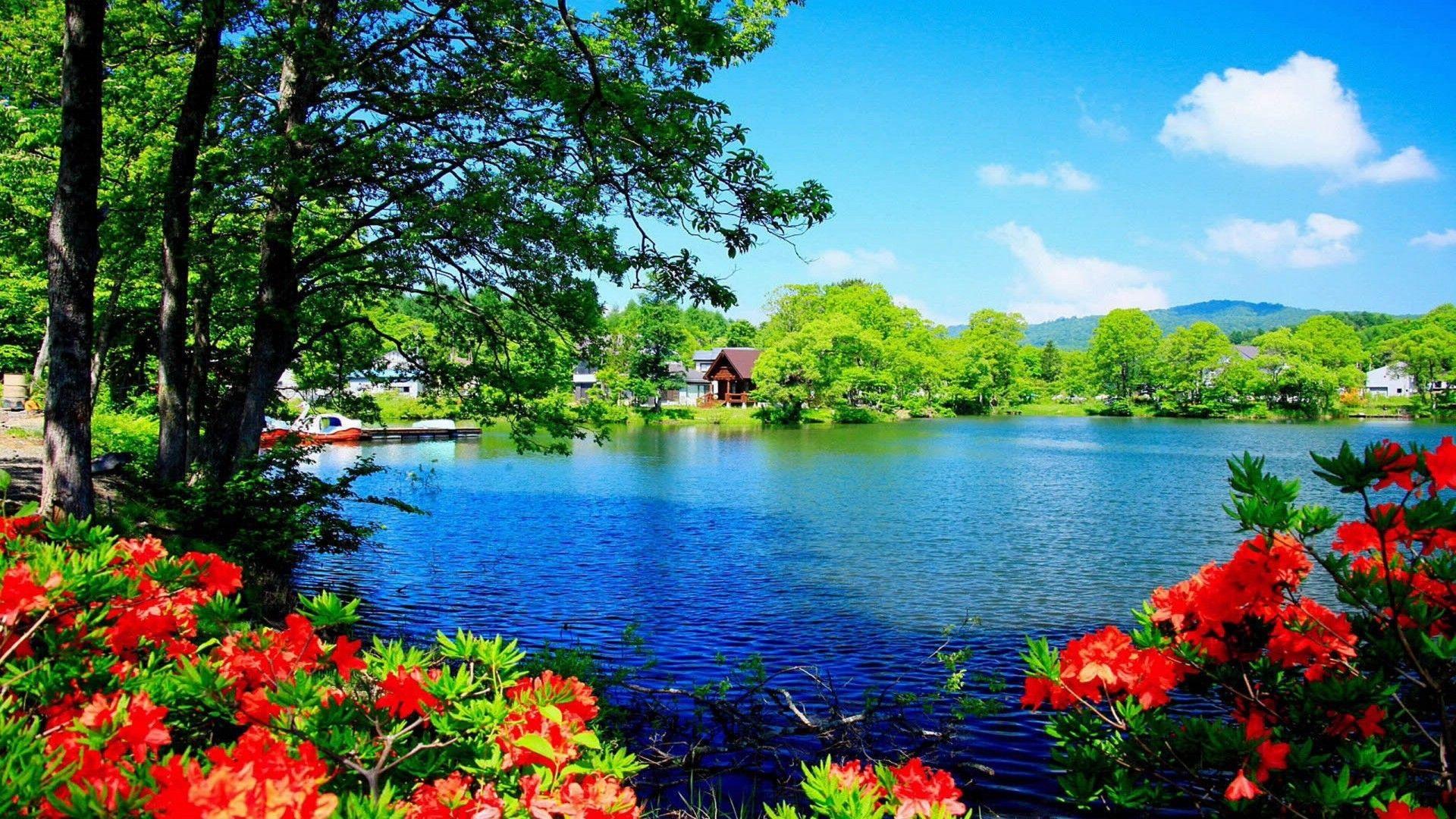 1920x1080 Scenic Computer Wallpaper background picture