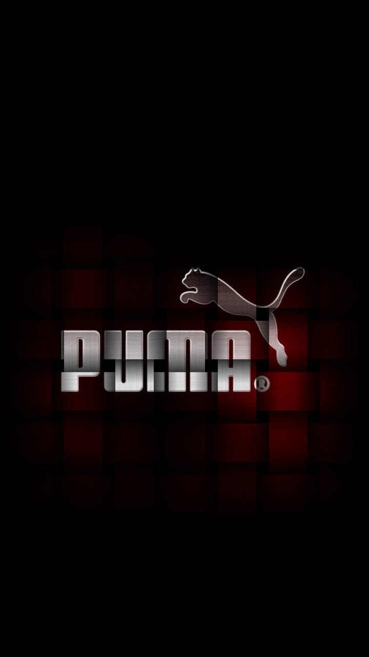 puma 3d wallpaper