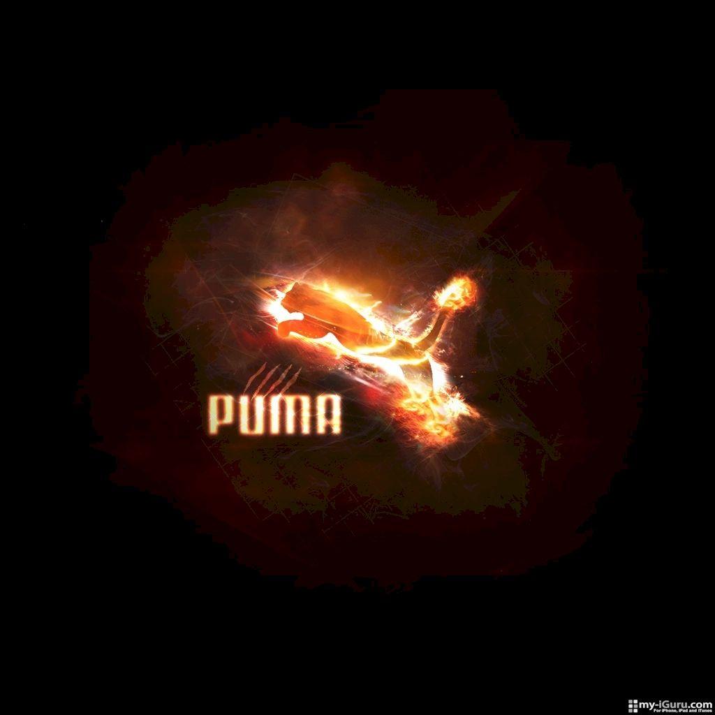 1024x1024 Puma Logo Wallpaper 4461 HD Wallpaper in Logos
