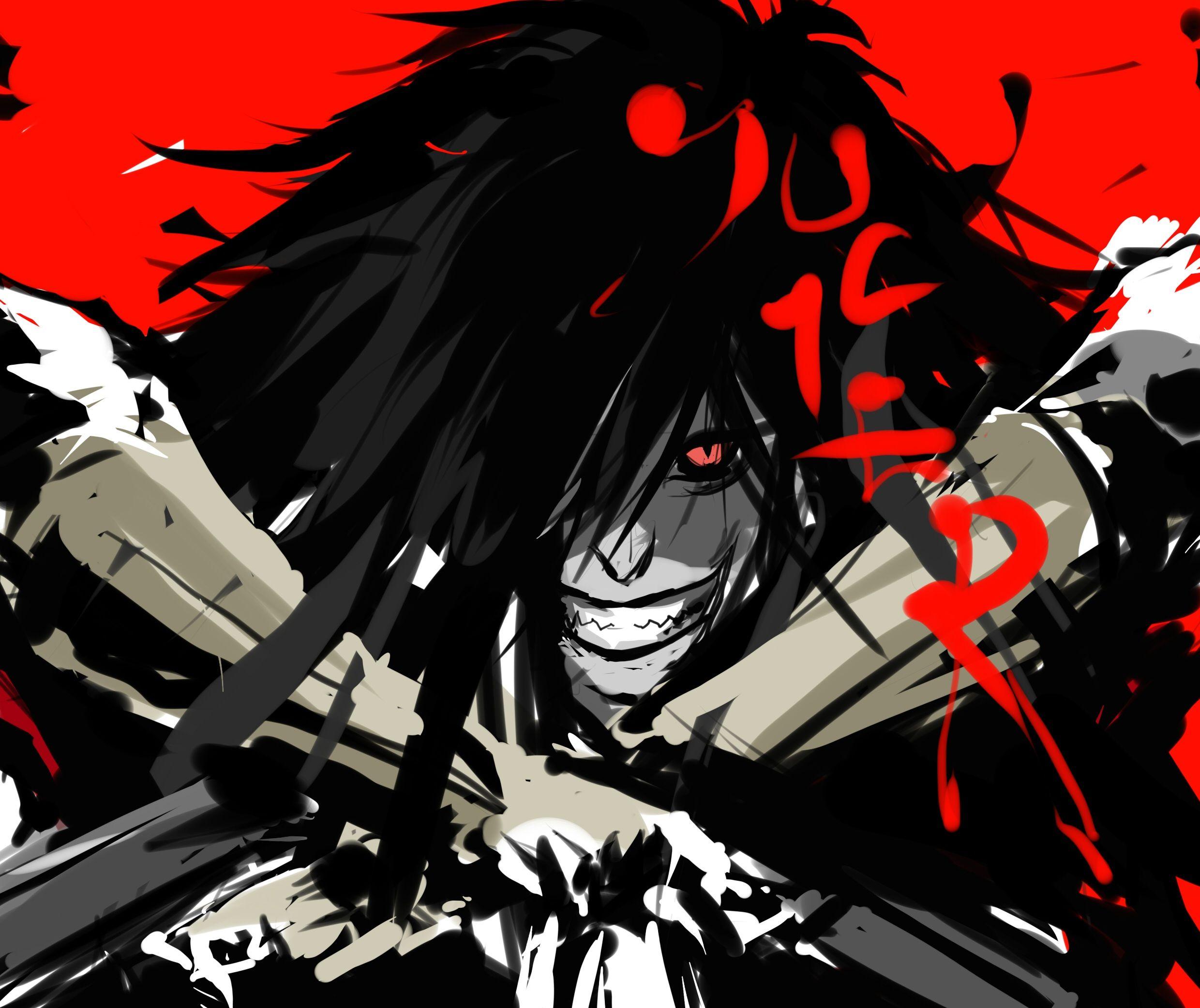 2480x2084 Alucard HD Wallpaper