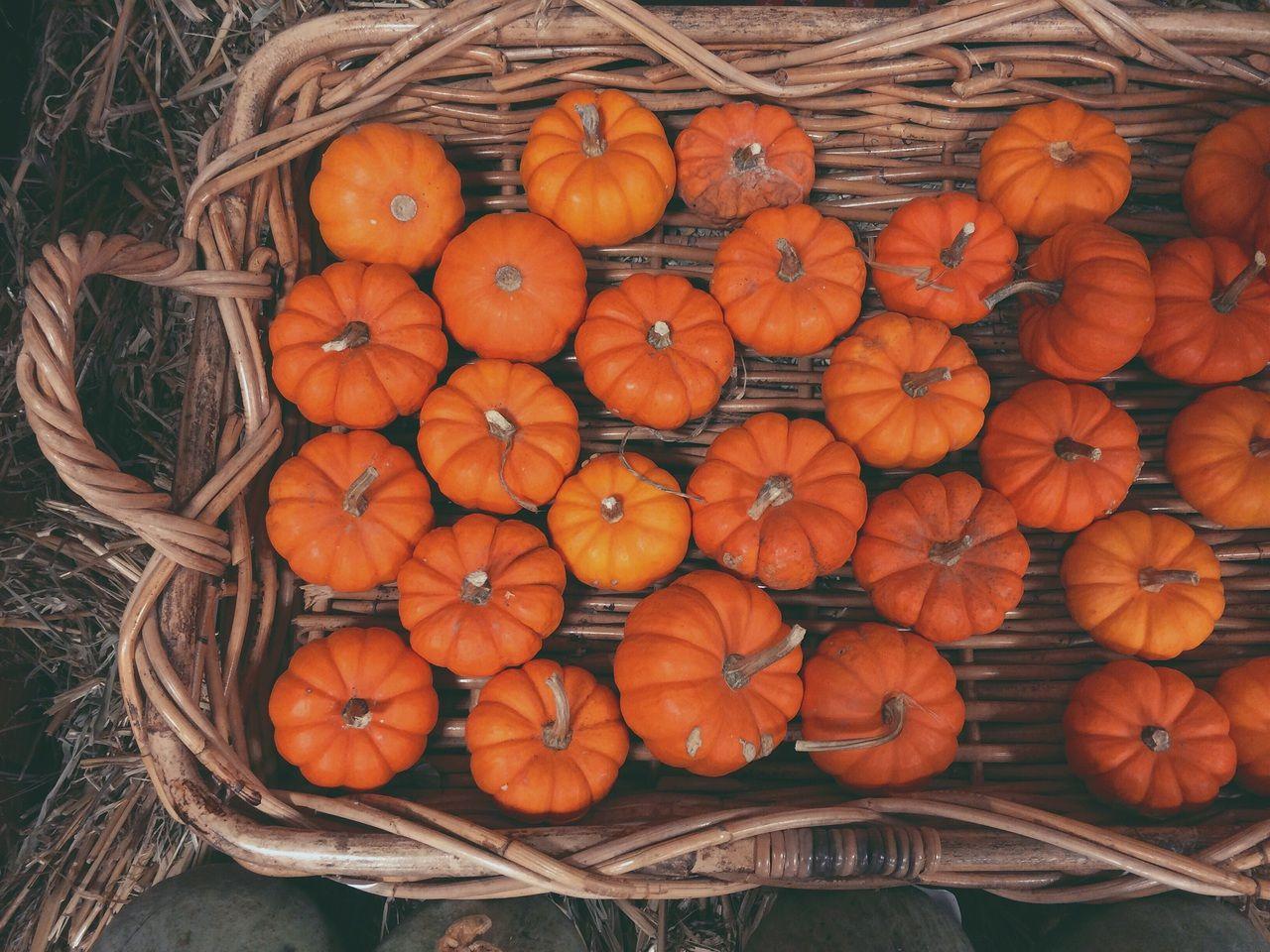 Aesthetic Pumpkin Wallpapers - Top Free Aesthetic Pumpkin Backgrounds