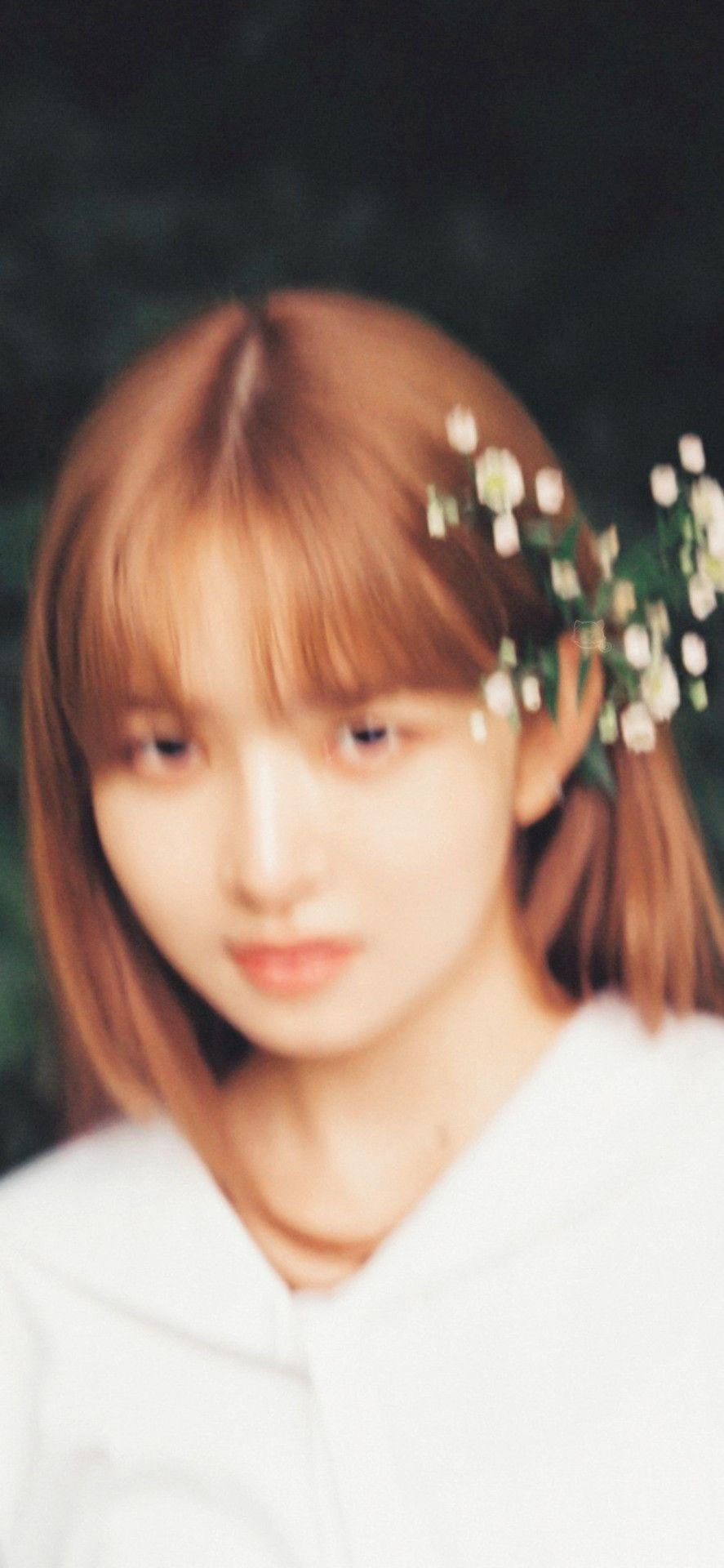 887x1920 Soulmatesz