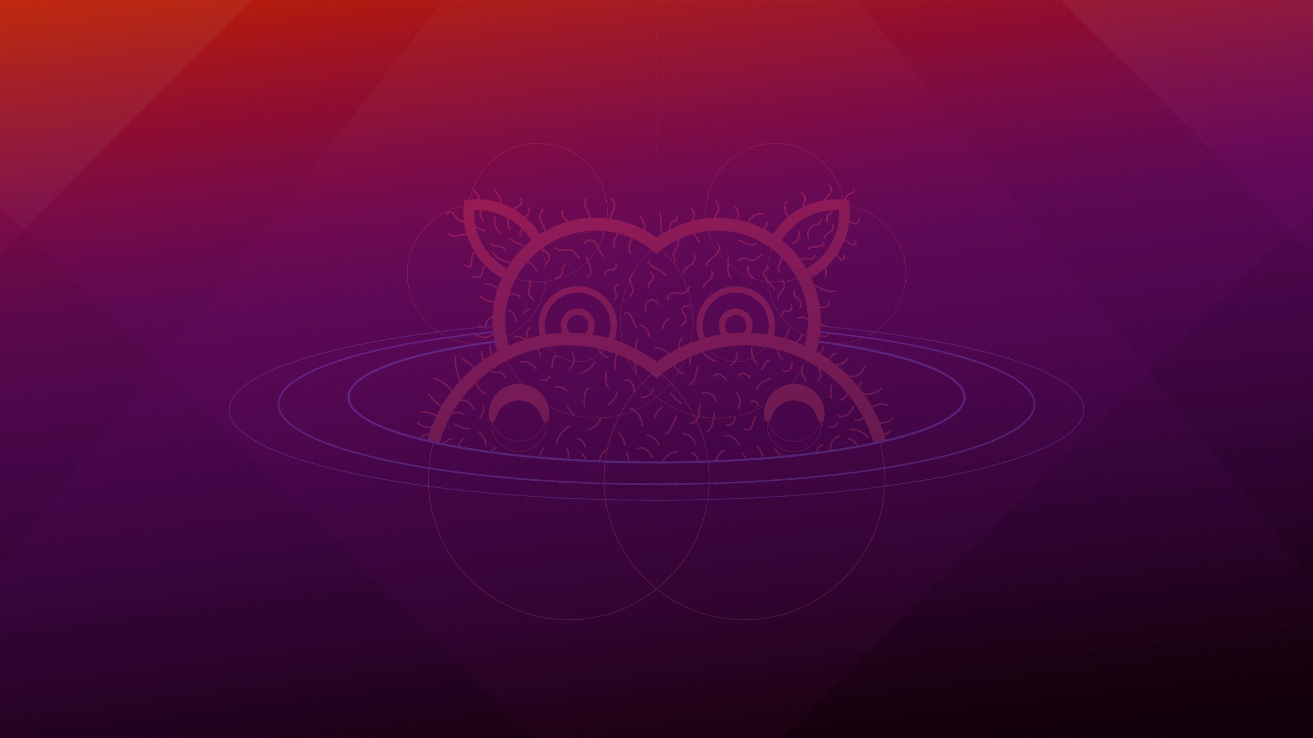 2560x1440 Hirsute Hippo and Wallpaper